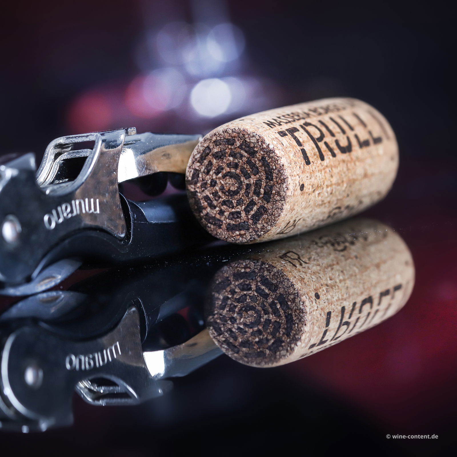 Primitivo Appassimento 2023 Lucale