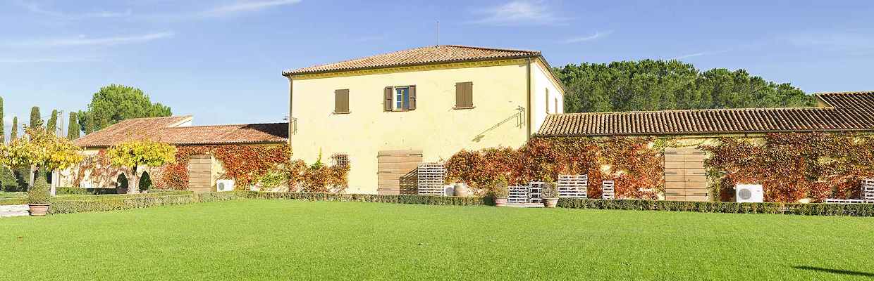 Le Pupille