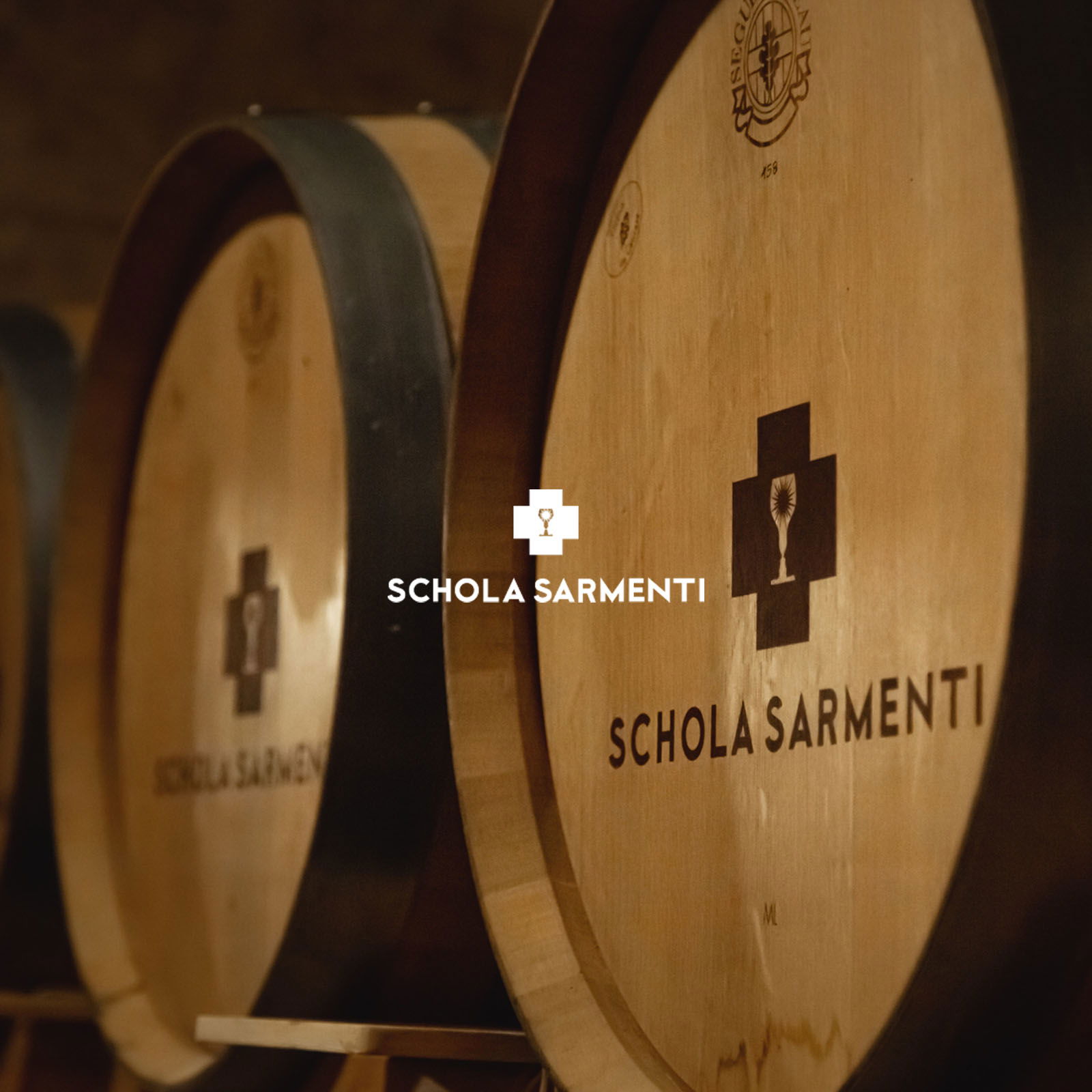 Negroamaro Salento Appassite 2019 Viginti