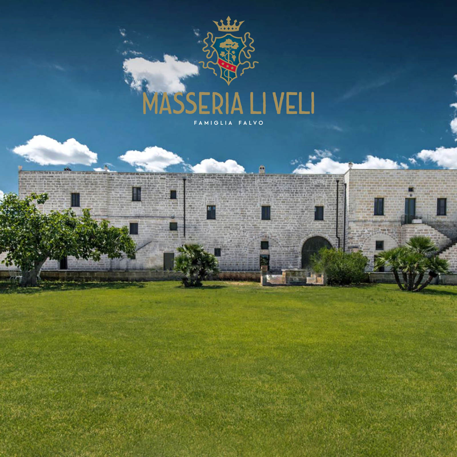 Negroamaro Salice Salentino 2023 Passamante