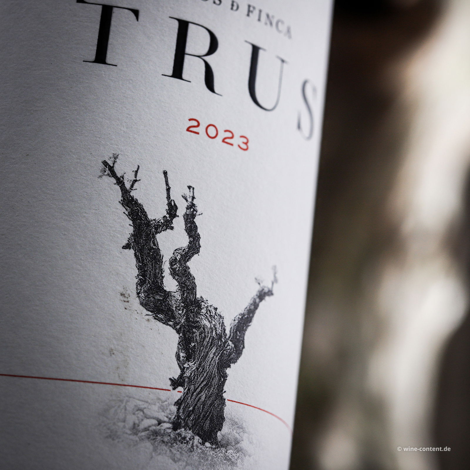 Tempranillo 2023 Roble