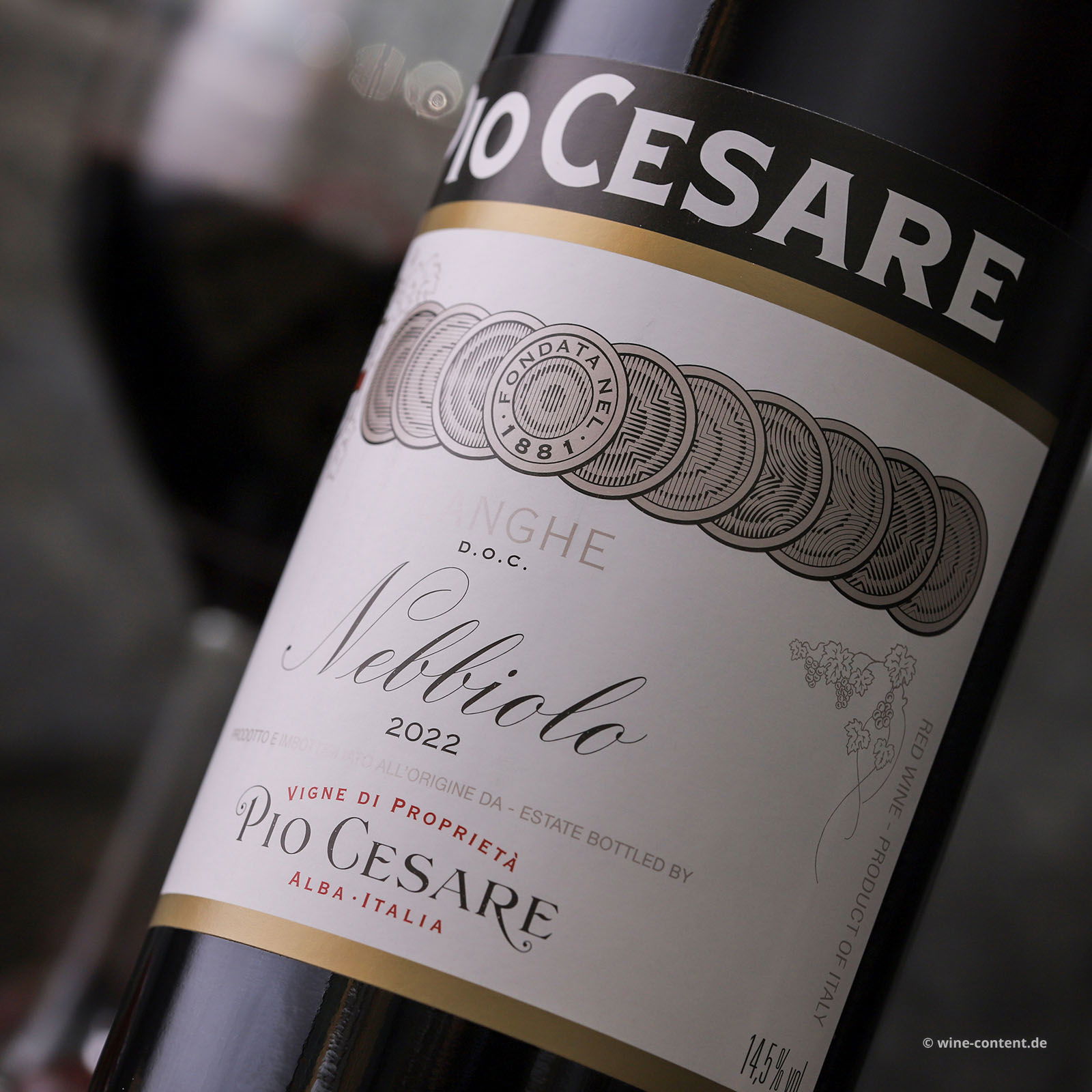 Nebbiolo Langhe 2022