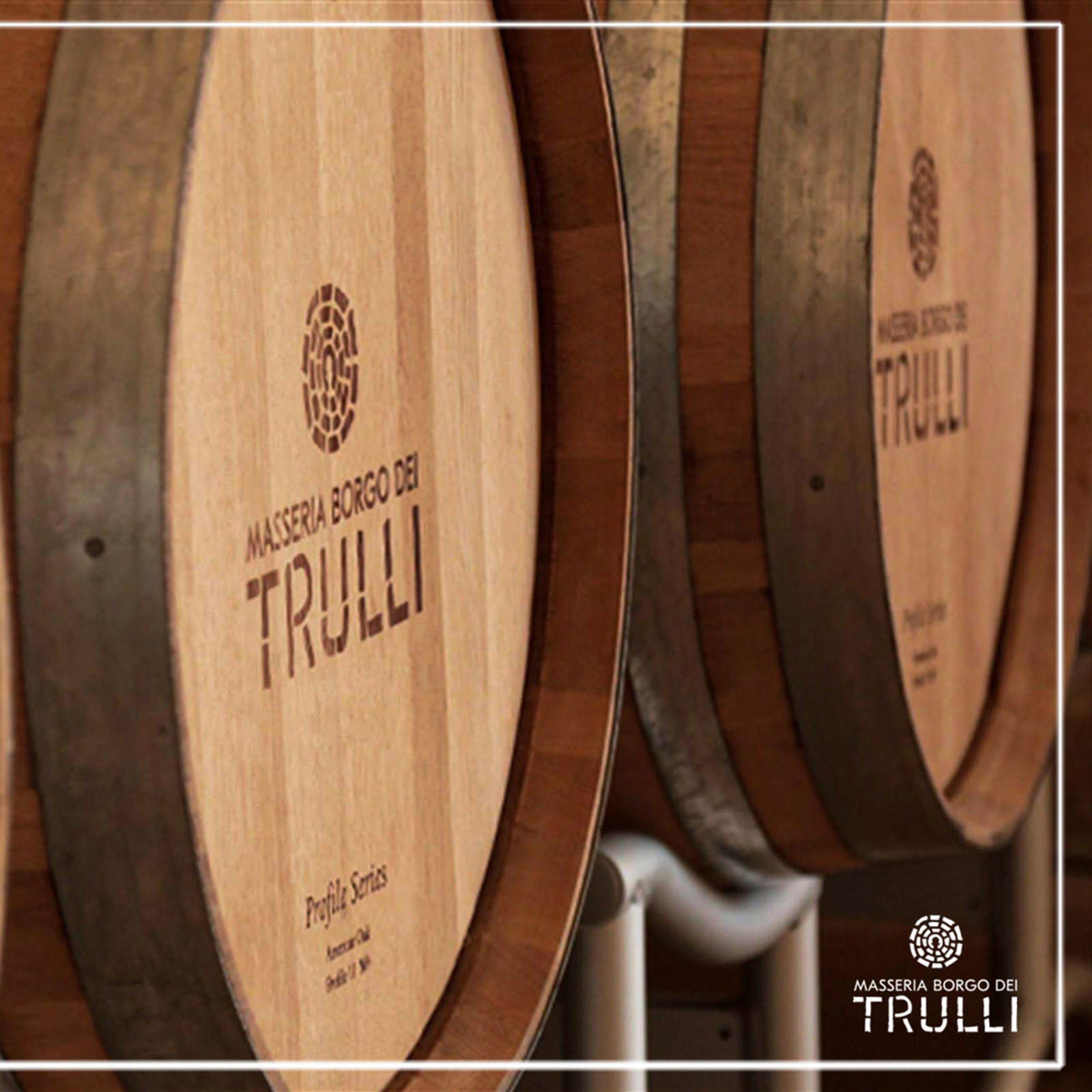 3er-Paket Primitivo di Manduria 2022 Mirea Magnum