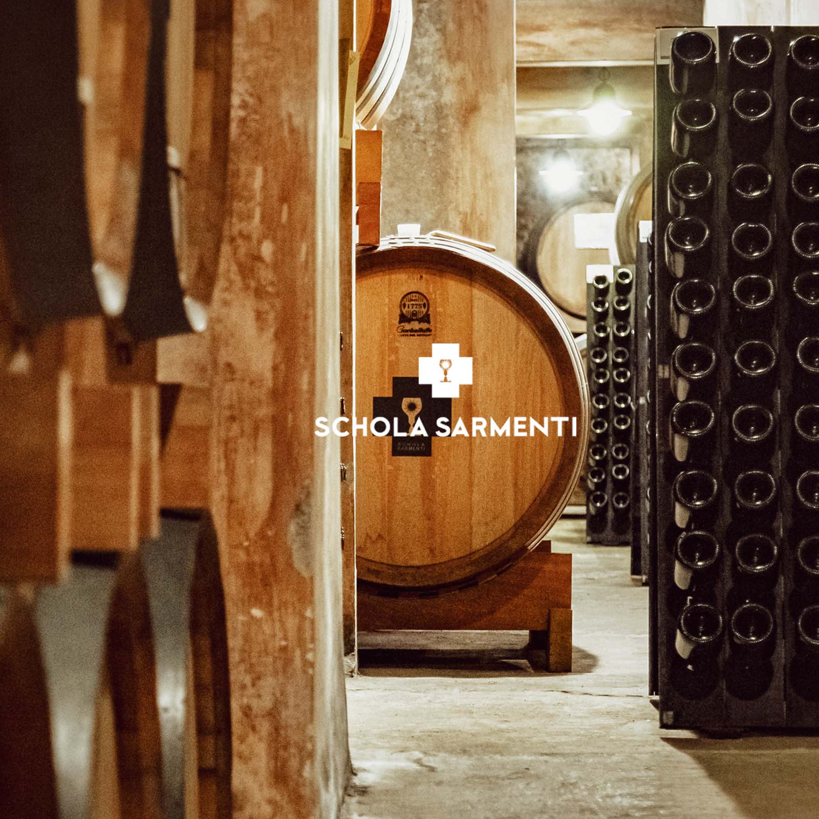 Primitivo Salento 2024 Critèra