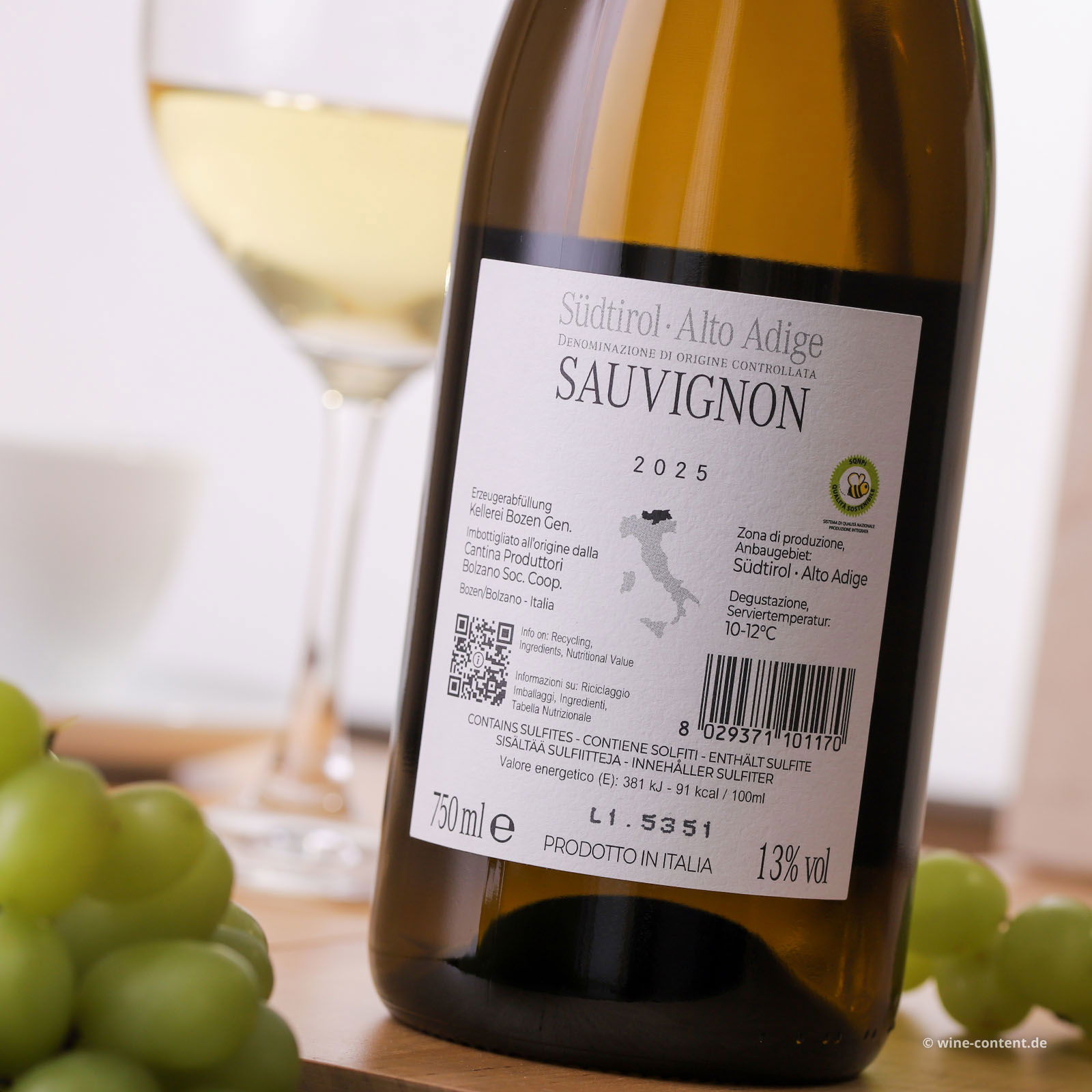Sauvignon 2025