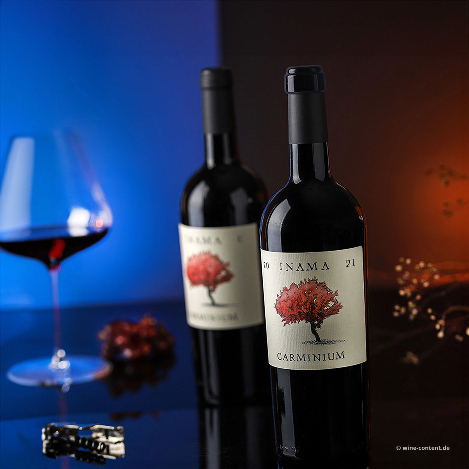 Carmenere 2021 Carminium