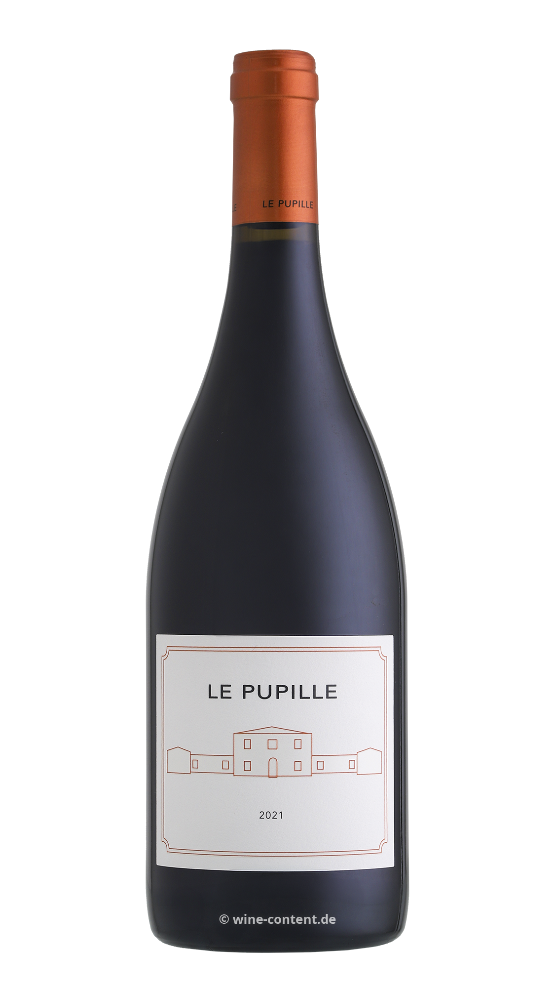 Syrah Toscana 2021