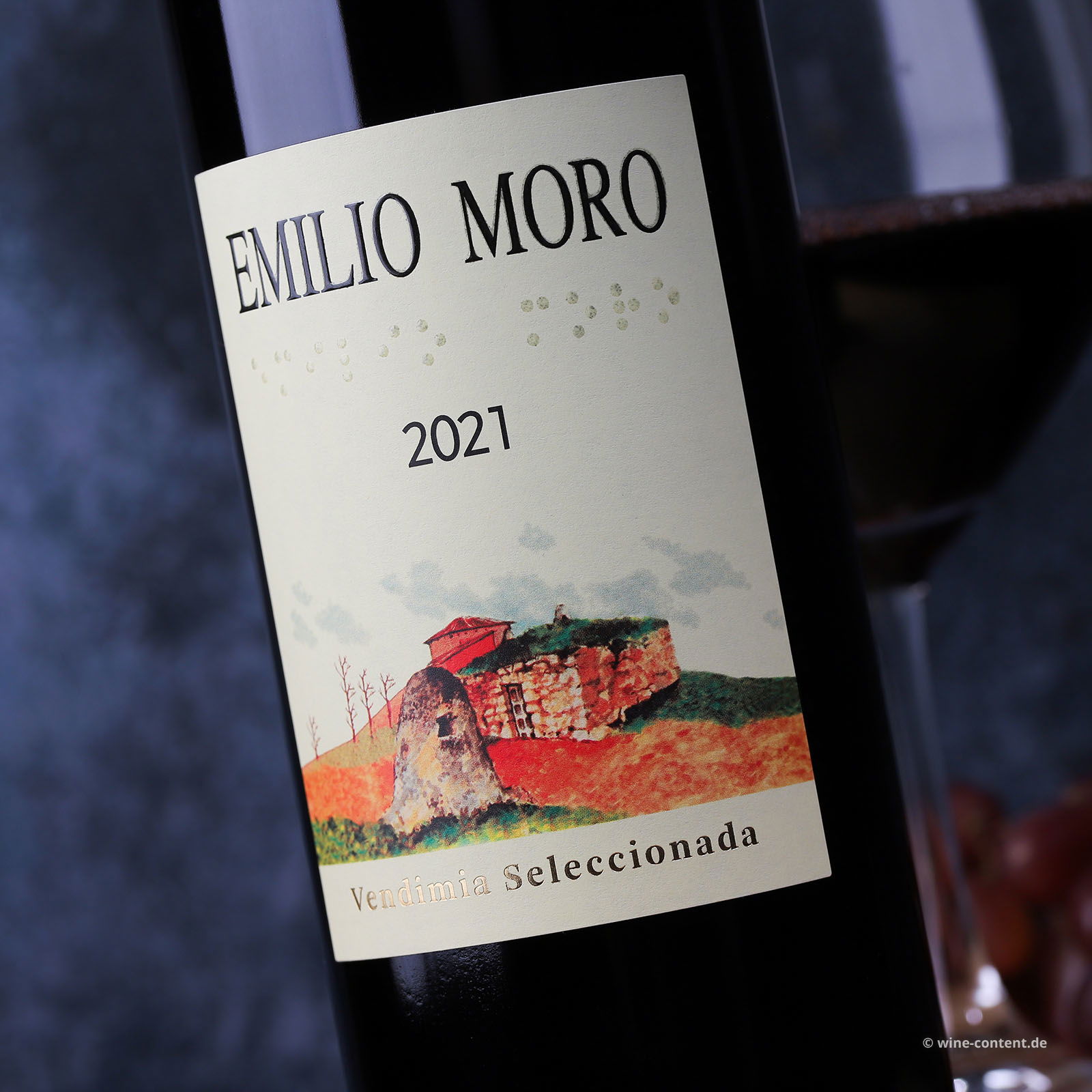 Tempranillo 2021 Vendimia Seleccionada