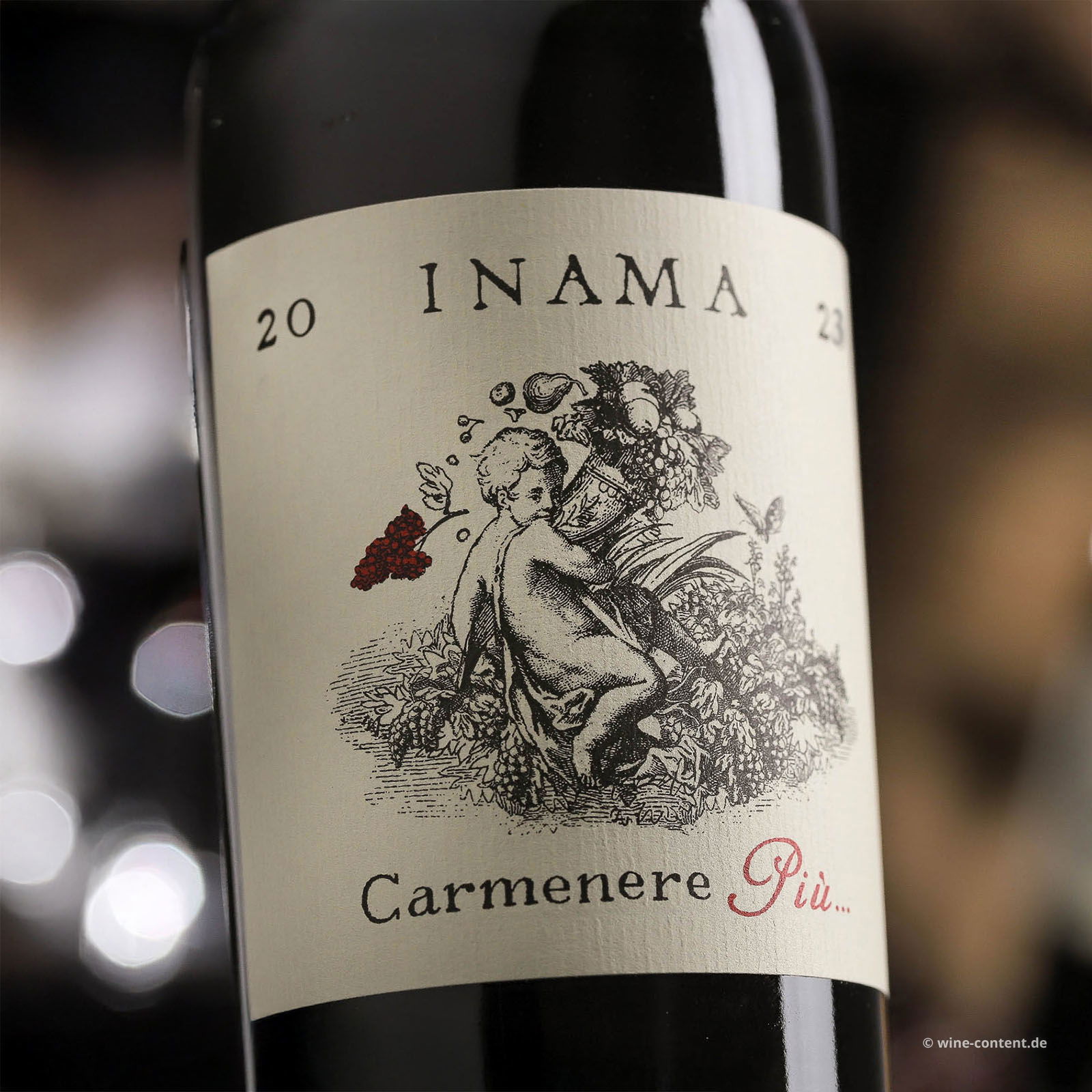 Carmenere Più 2023