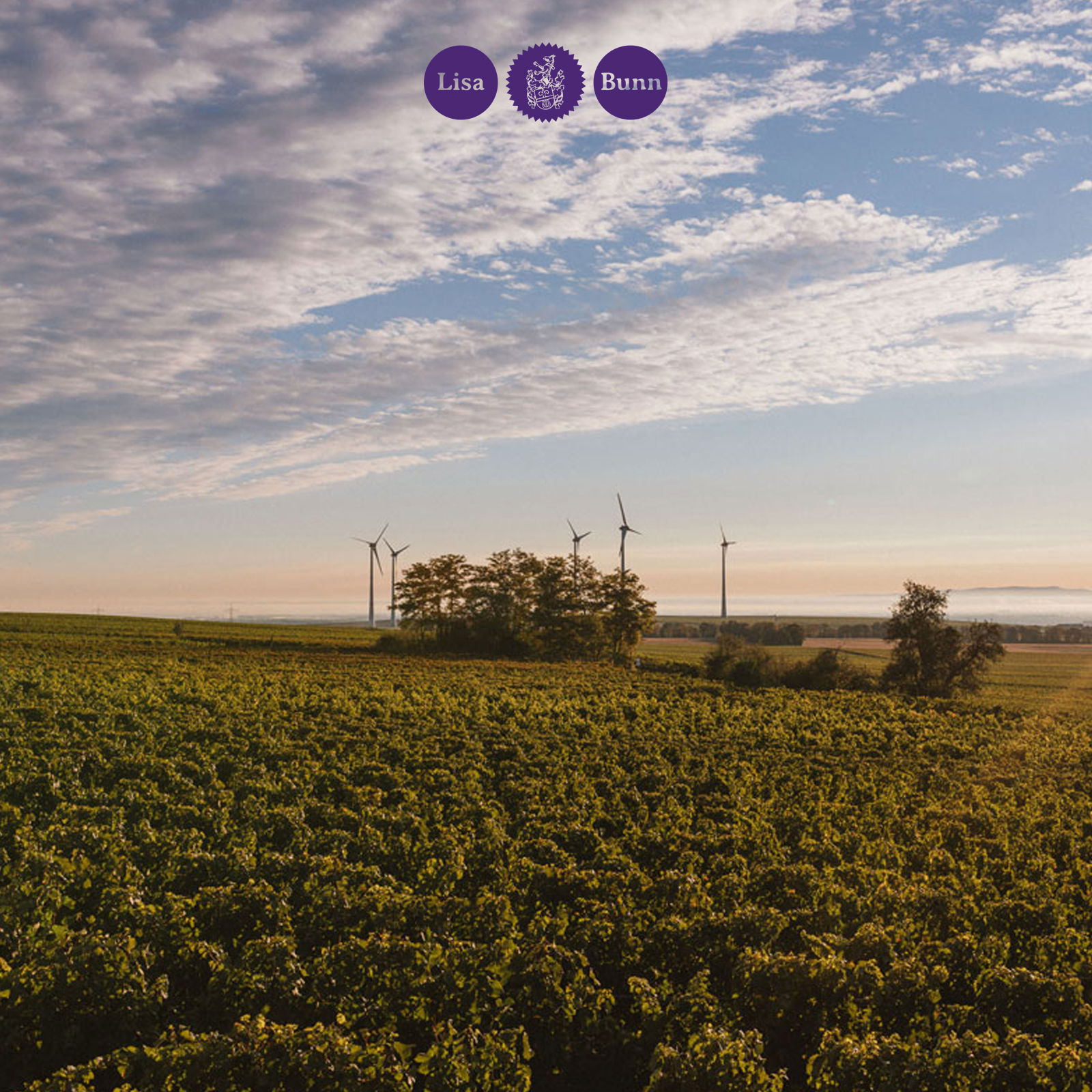 Riesling 2024 Nierstein