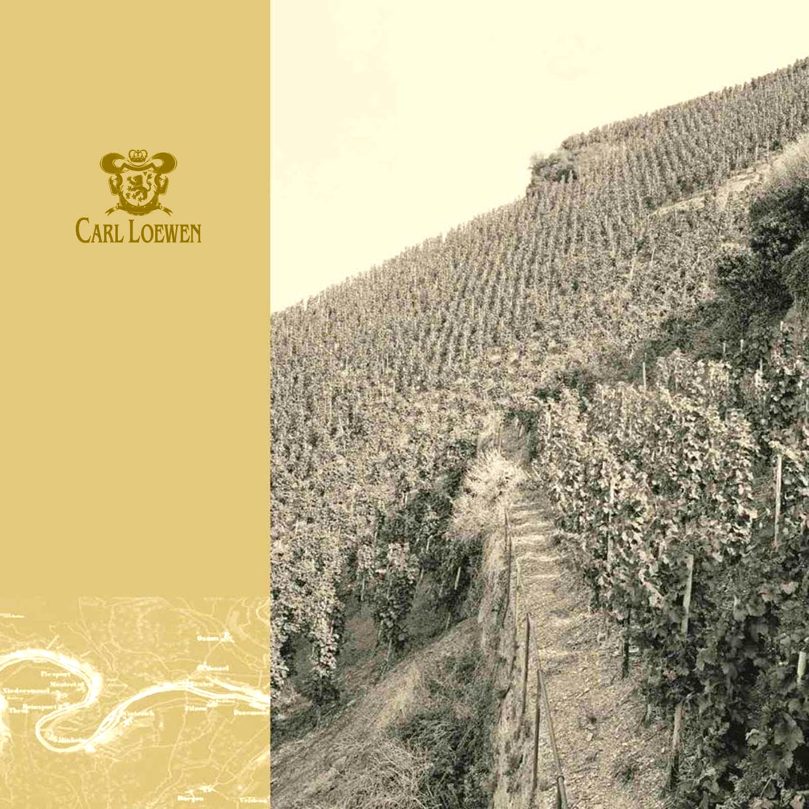 6er-Holzkiste Riesling Erste Lage 2023 Maximin Herrenberg 1896 Black Label