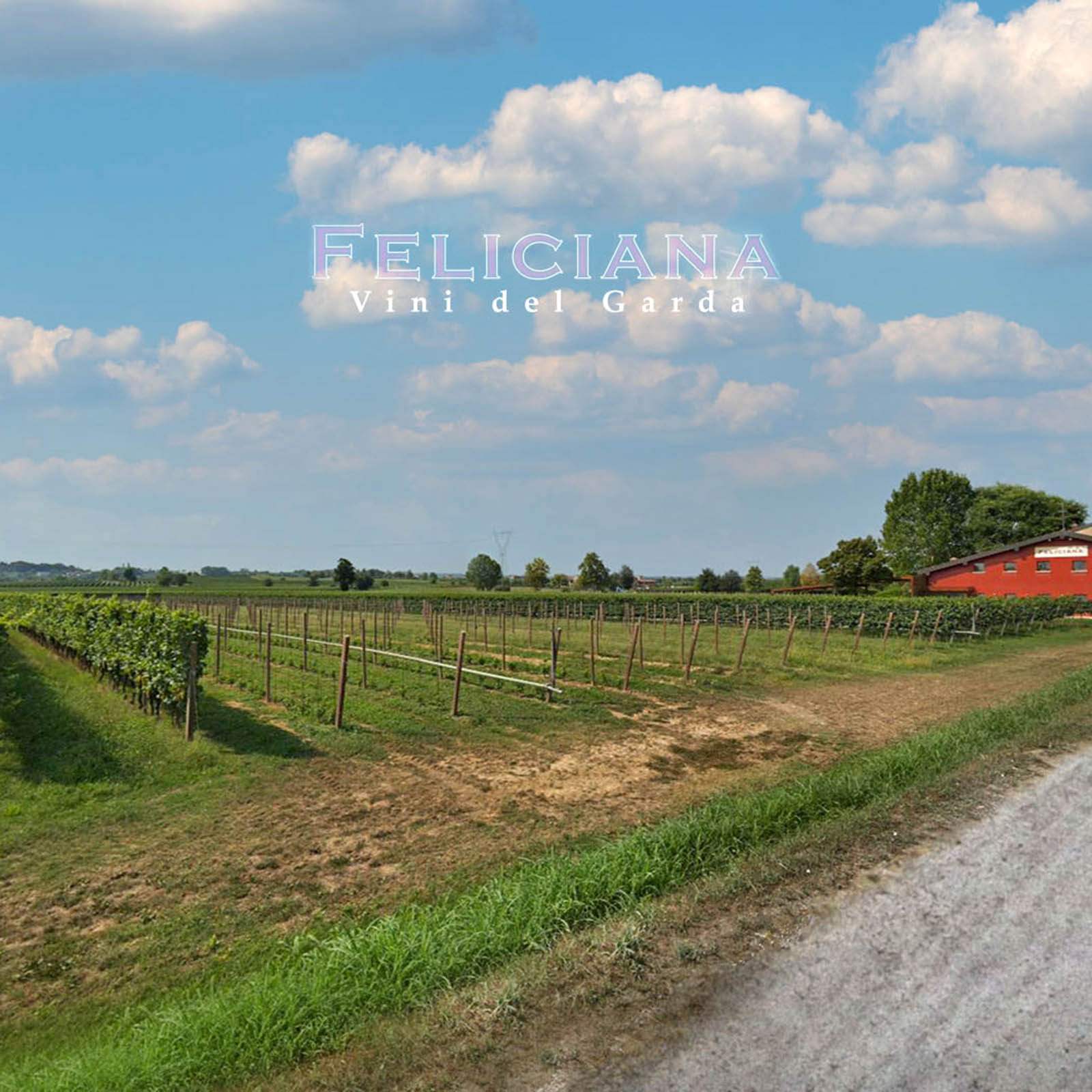 Benaco Bresciano Rosso 2021 Cebon Magnum