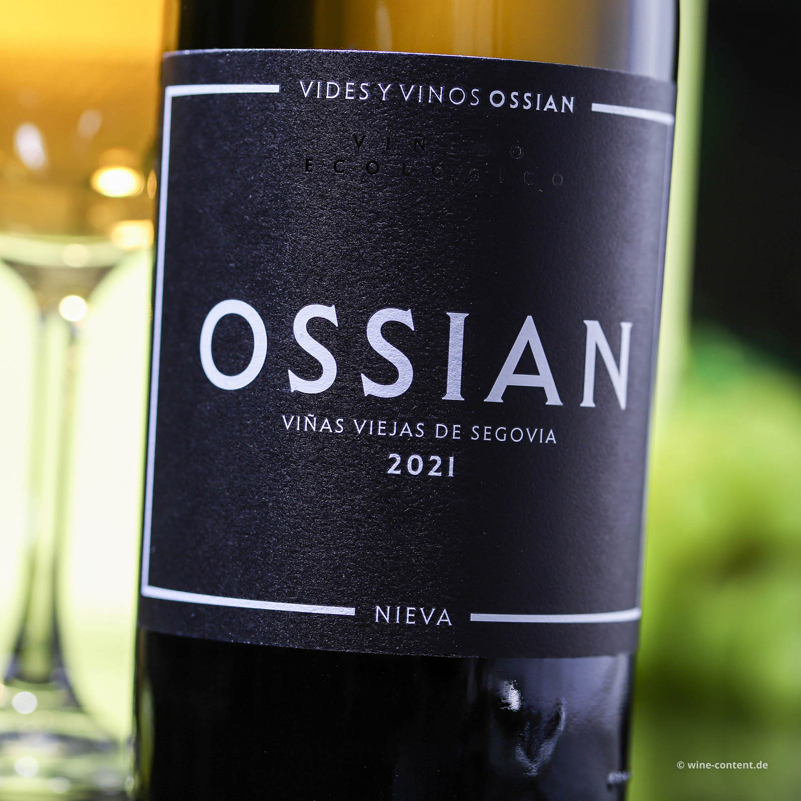 Verdejo 2021 Ossian Bio