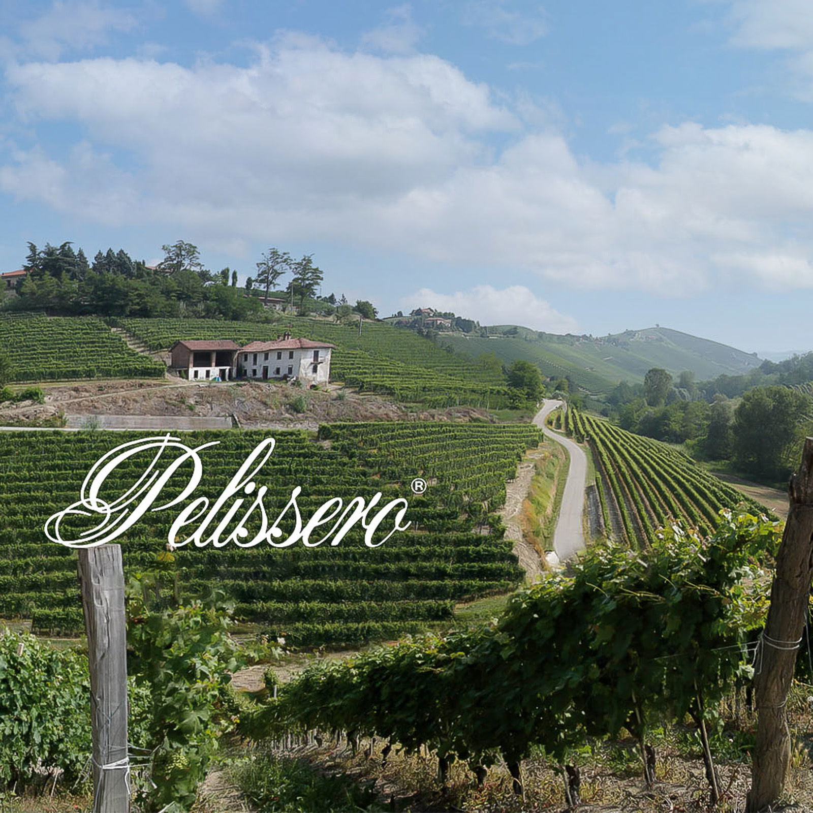 Barbaresco 2017 Tulin