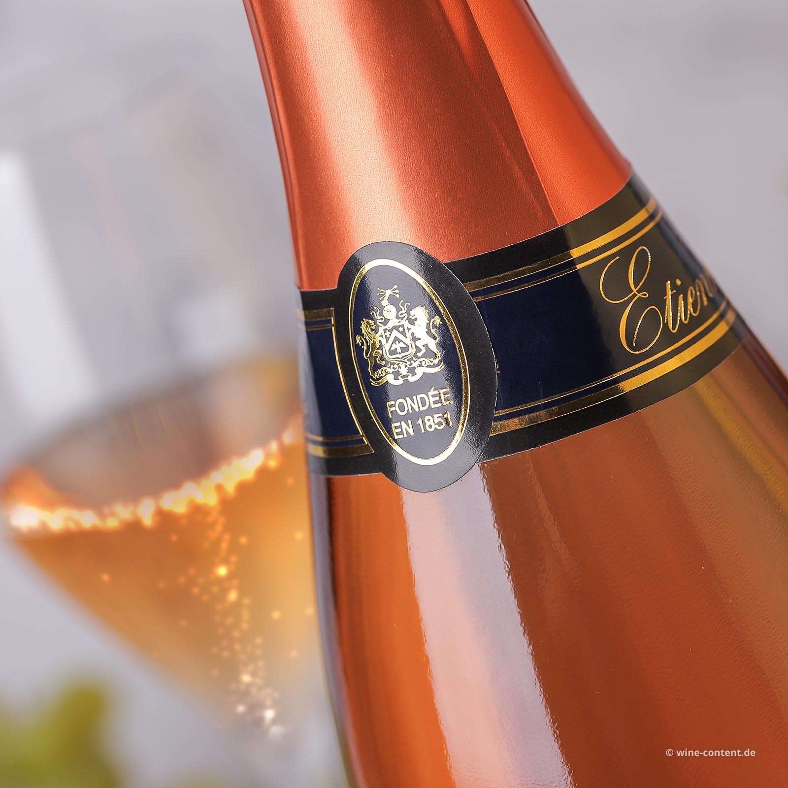 Crémant de Loire Rosé Etienne Brut