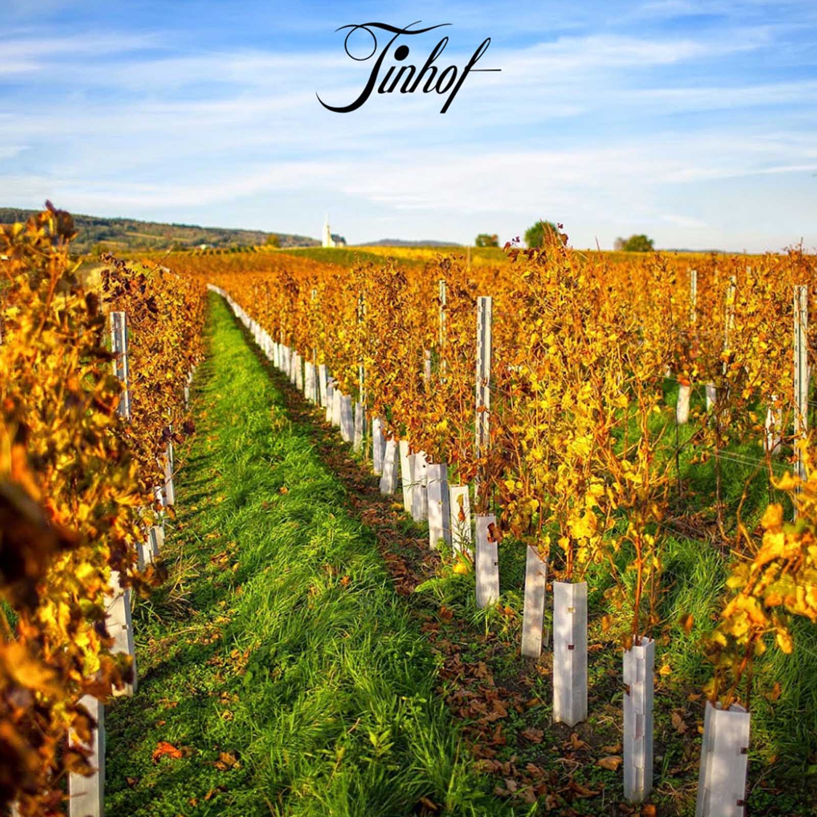 Blaufränkisch 2019 Ried Kirchberg Gloriette Bio