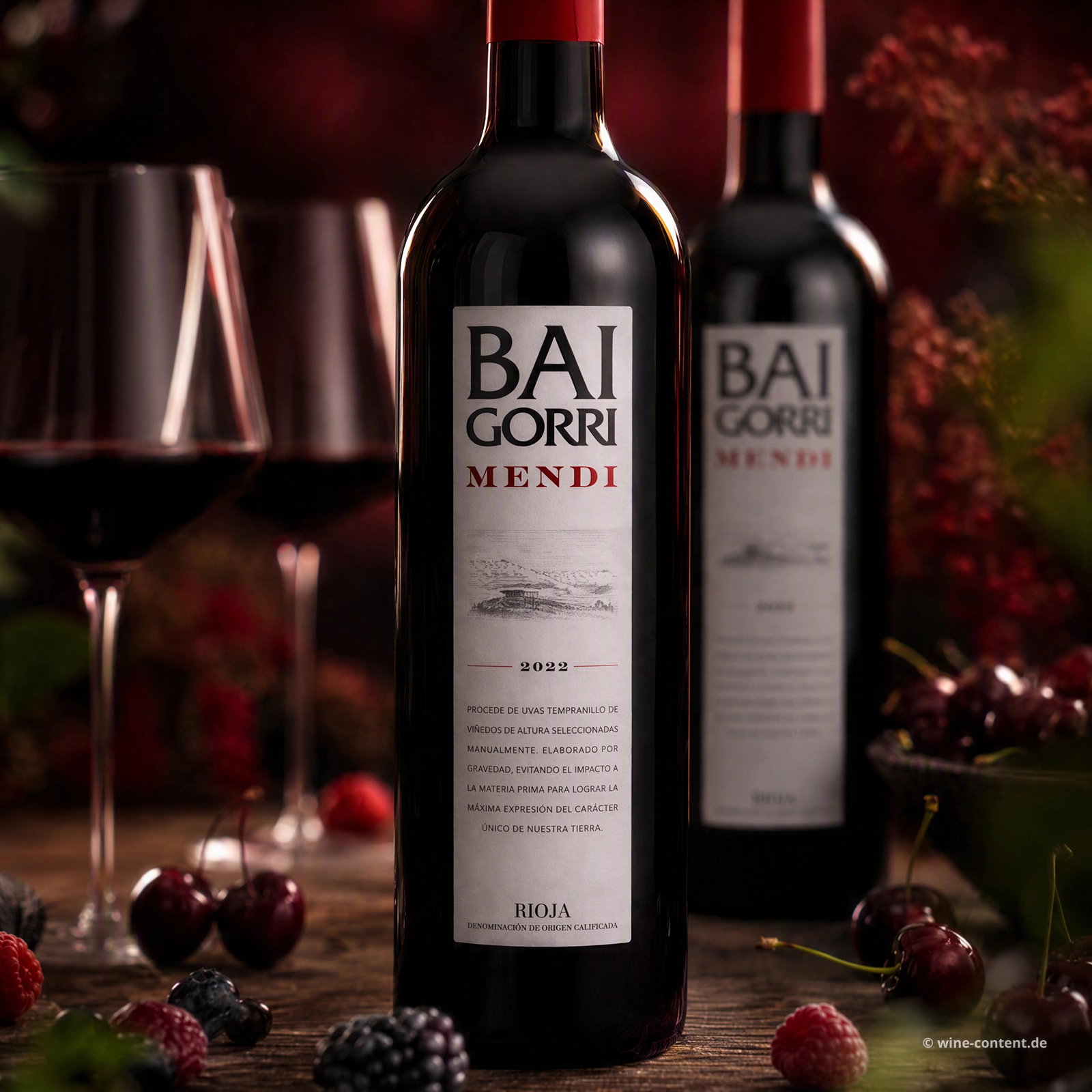 Rioja Crianza 2022 Mendi