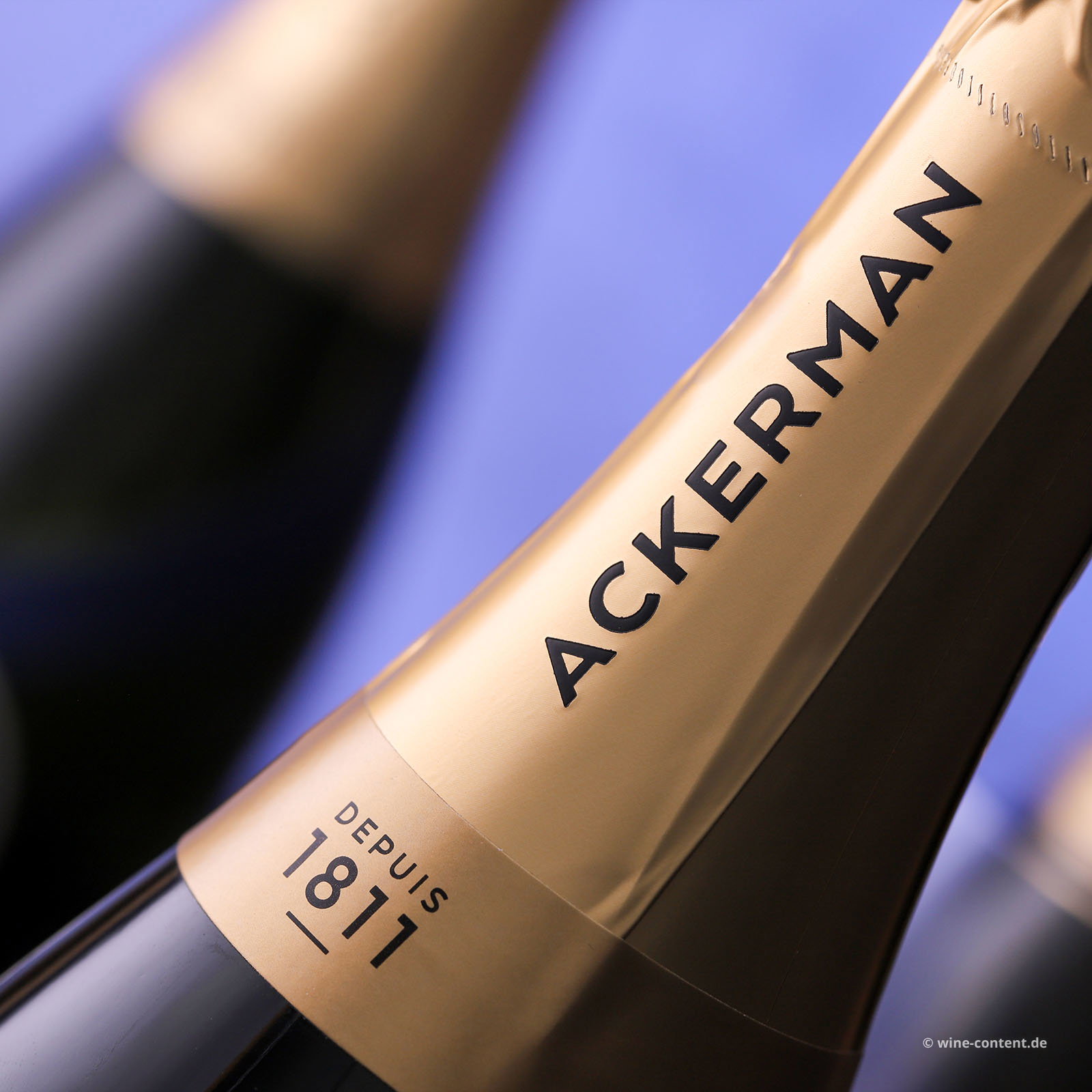 Crémant de Loire 2023 Réserve Brut