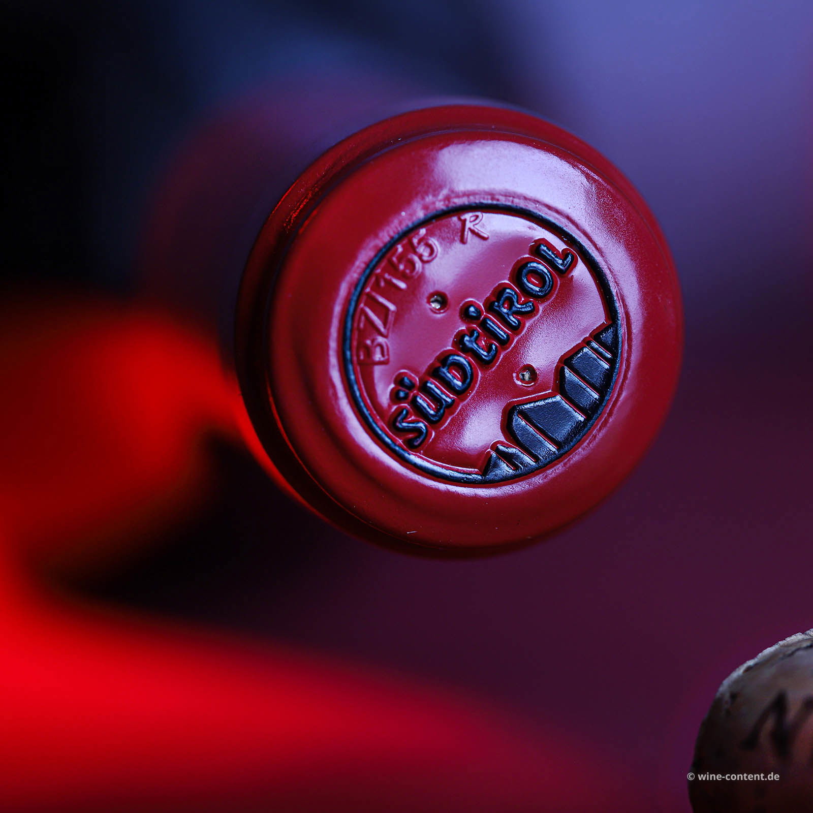 Pinot Noir Riserva 2021 Vigna Ganger