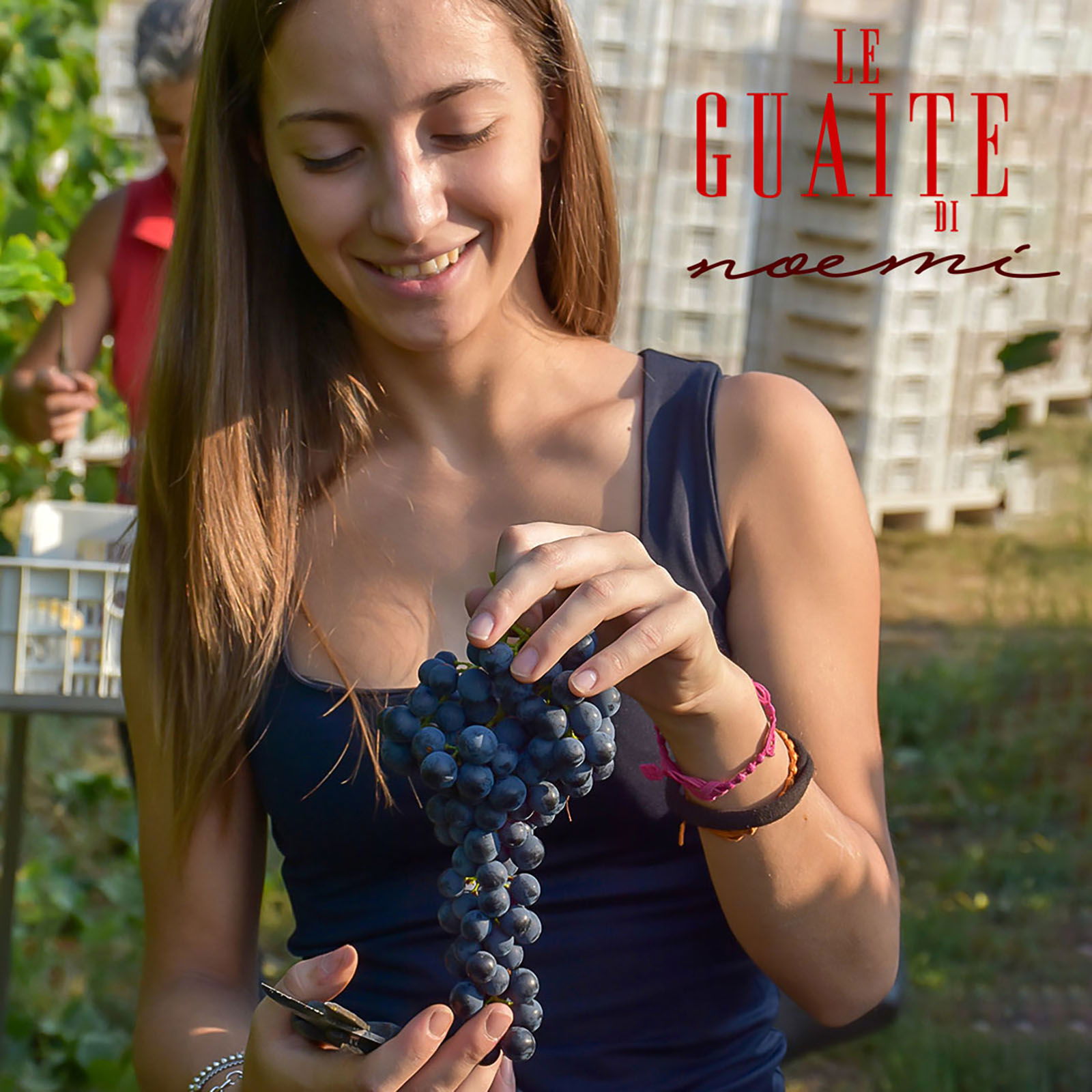 Amarone 2012