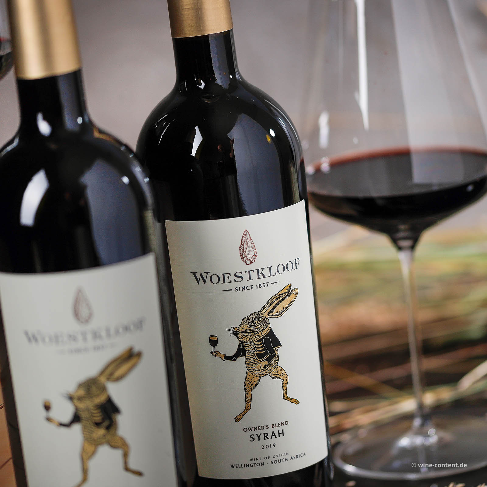 Syrah 2019 Owner's Blend