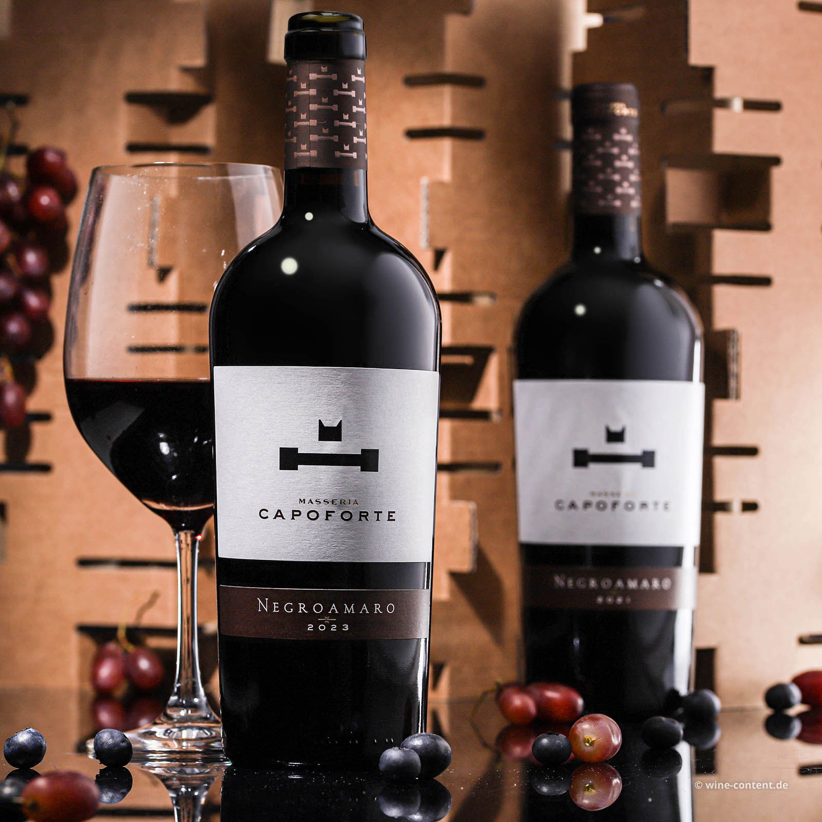 Negroamaro Salento 2023