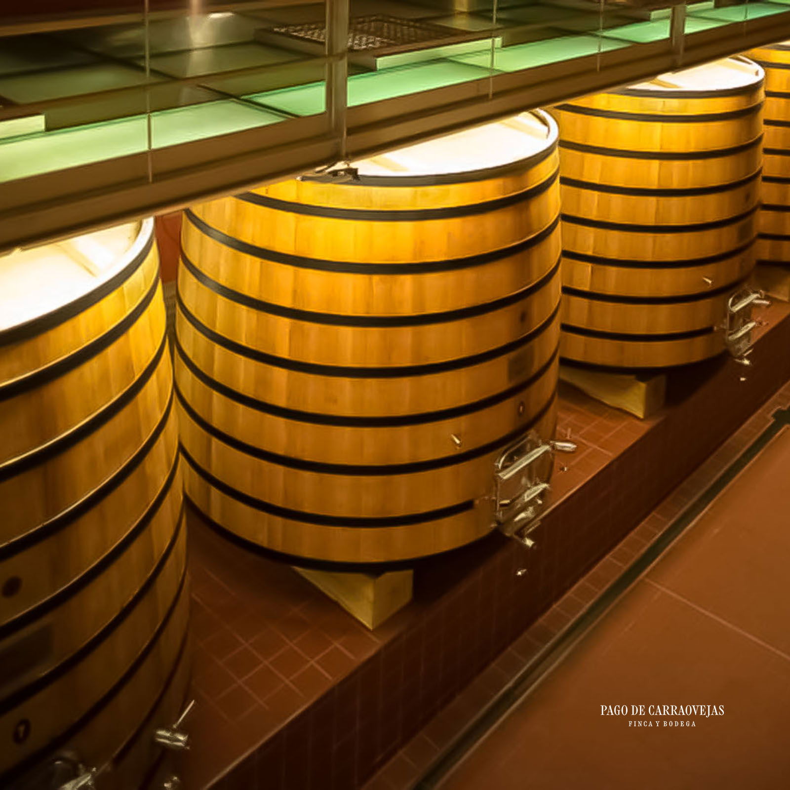 3er-Paket Pago de Carraovejas 2023 Magnum