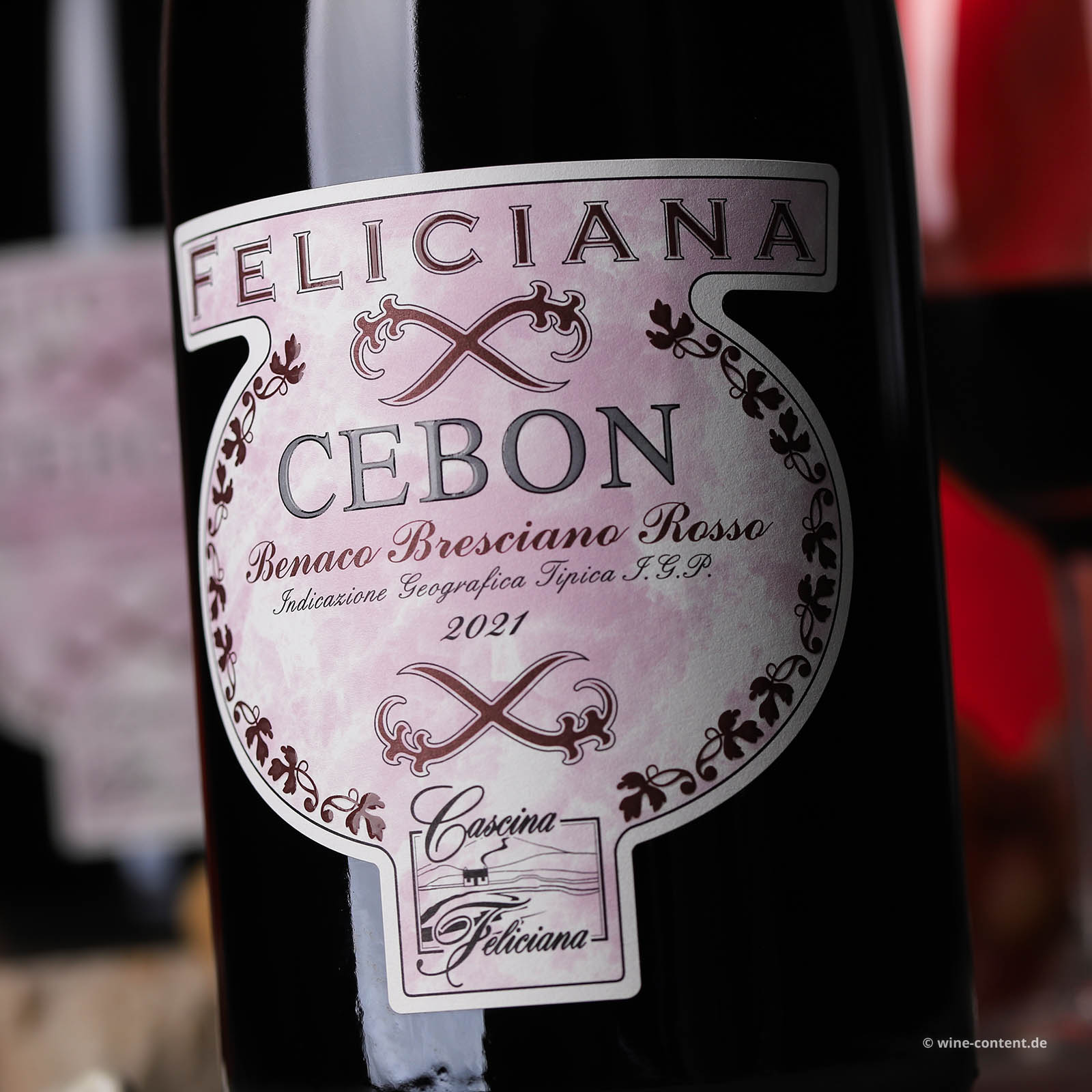 Benaco Bresciano Rosso 2021 Cebon Magnum