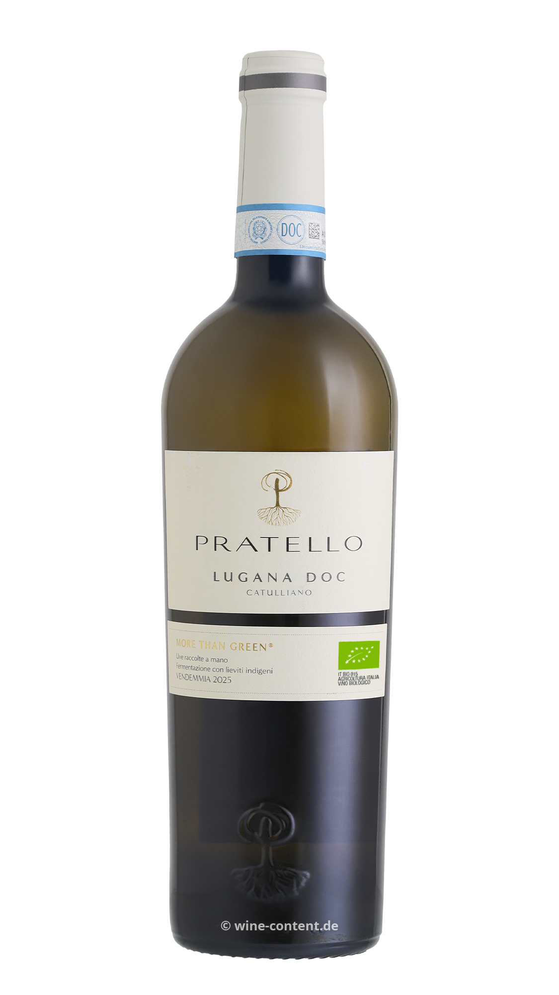 Lugana 2025 Catulliano Bio