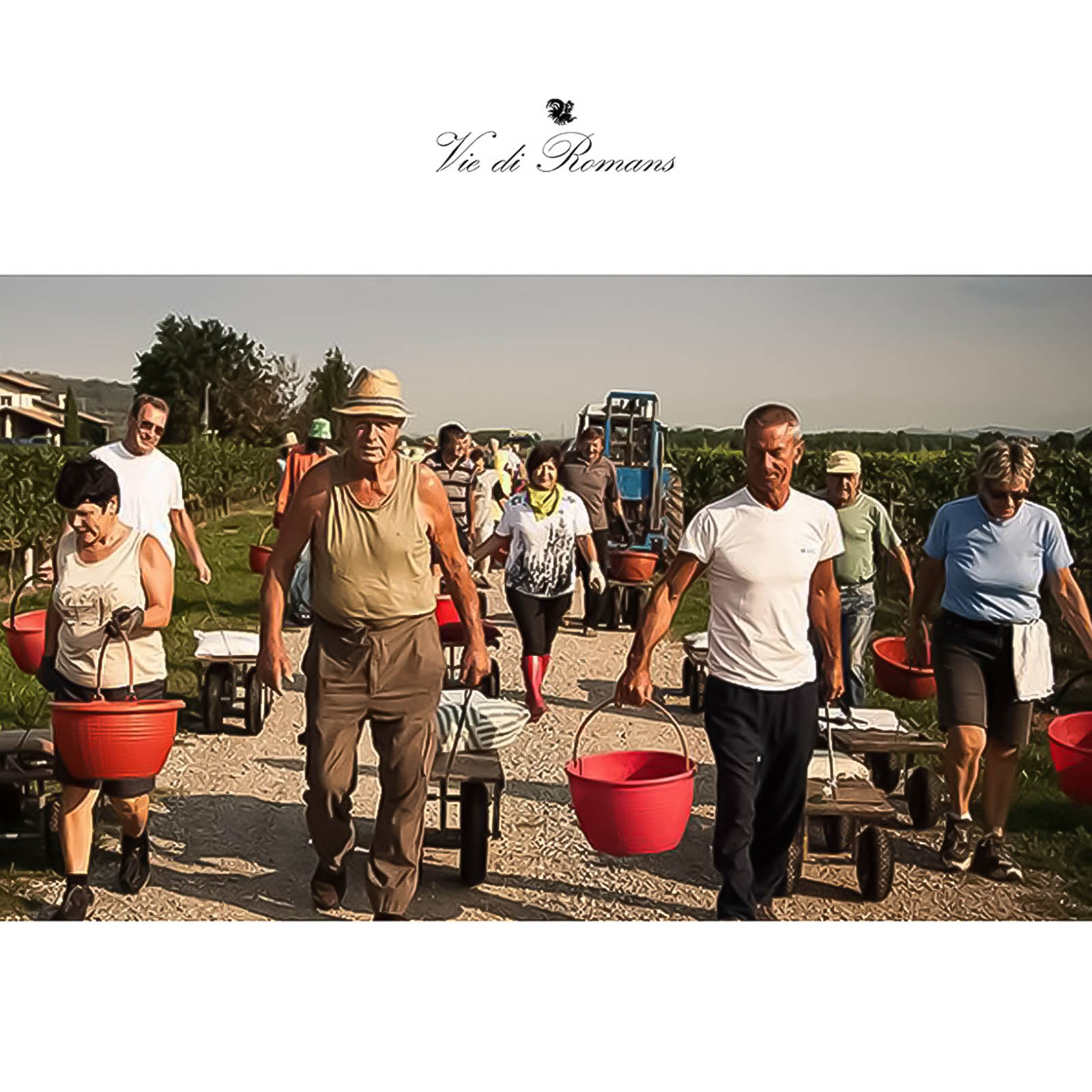 Pinot Grigio 2023 Dessimis