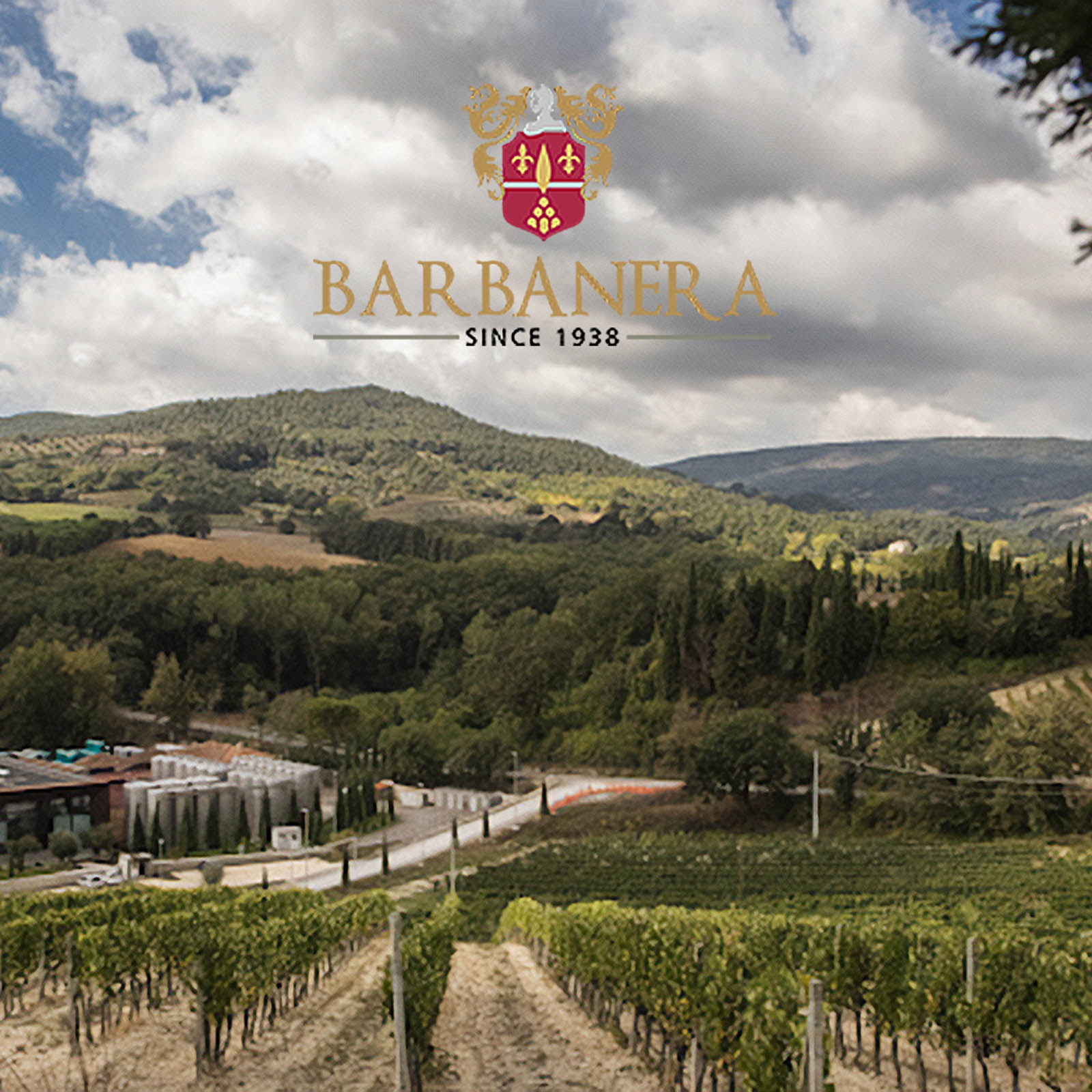 Gigino Grande Rosso 2021 Anniversario 80