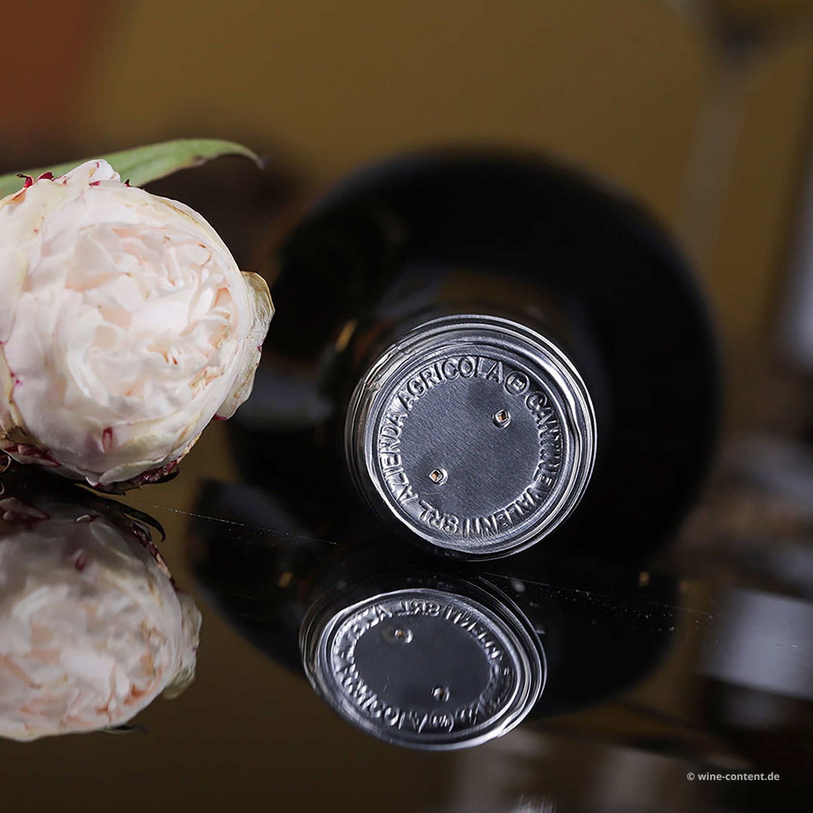 Etna Bianco 2025 Enrico IV Bio