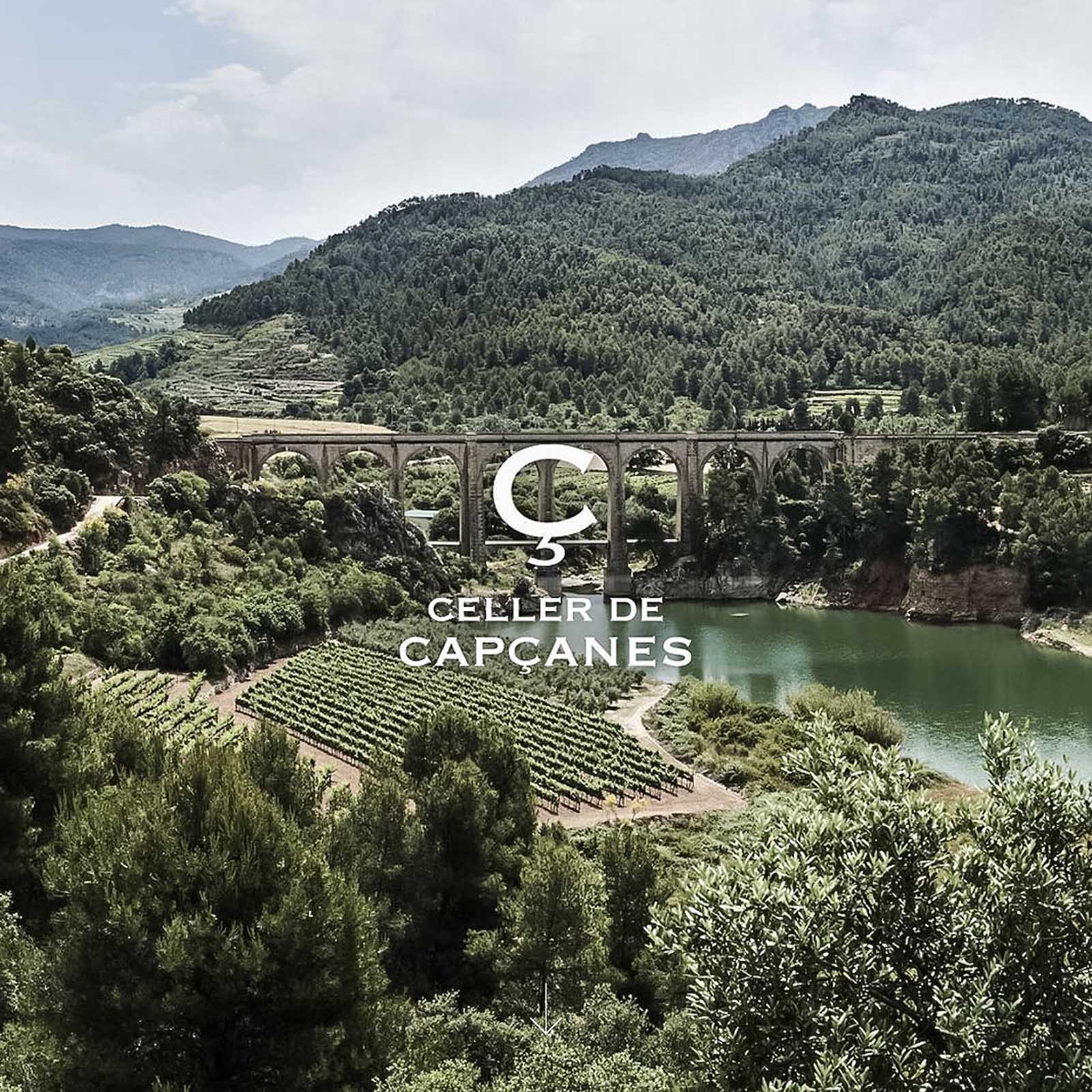 5 L Olivenöl Verge Extra 2025 Flor de Maig