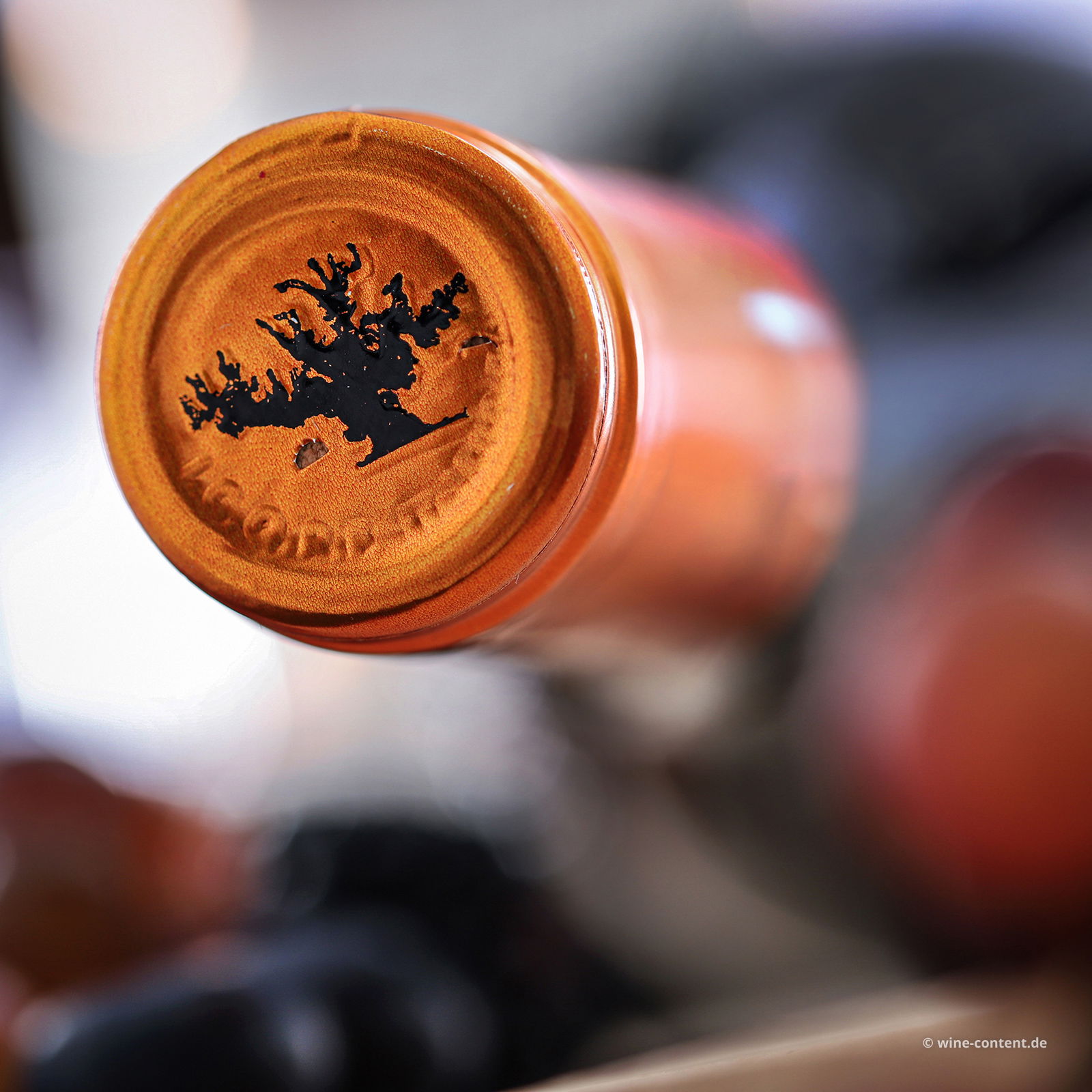 Primitivo 2023 Passitivo