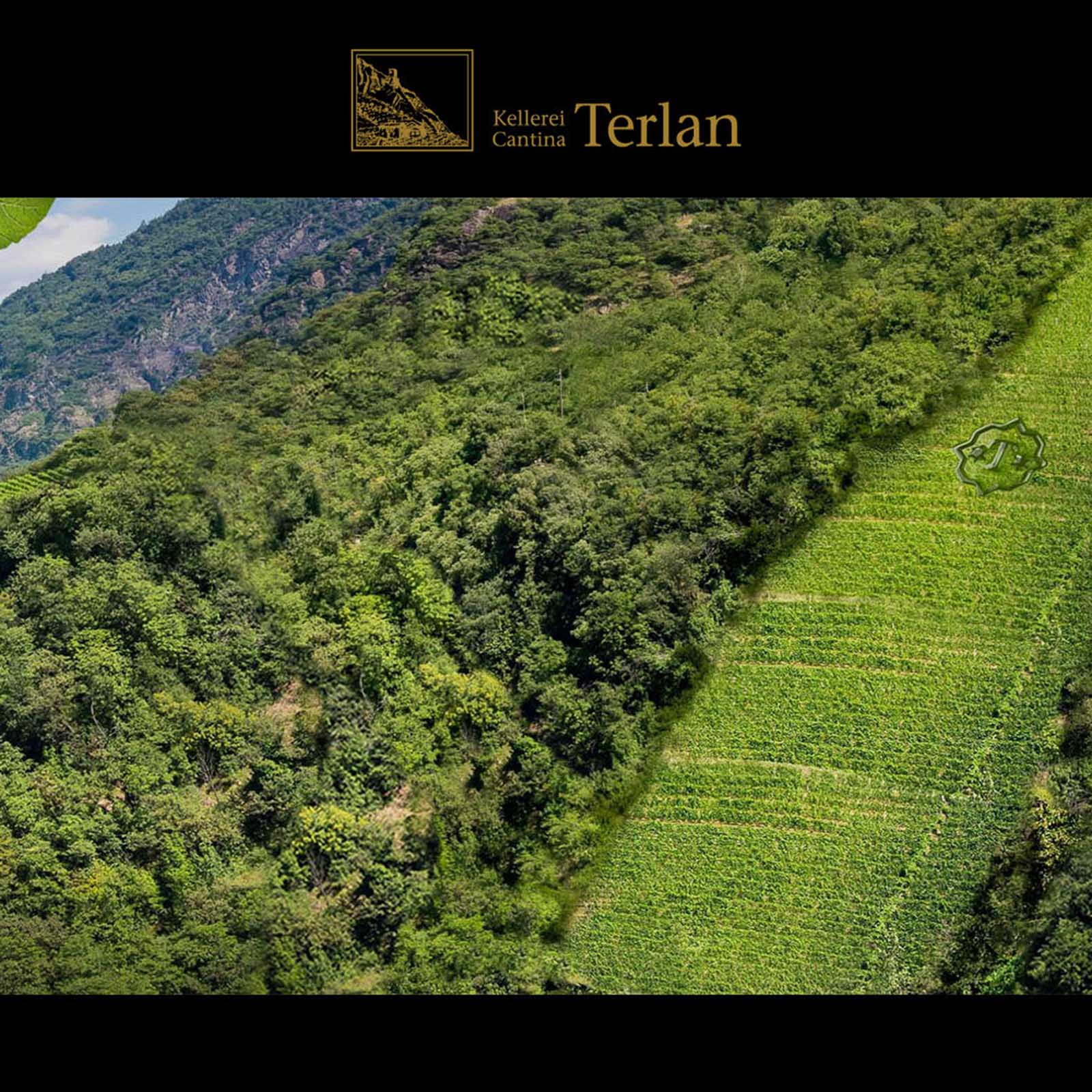 Sauvignon Blanc 2023 Quarz