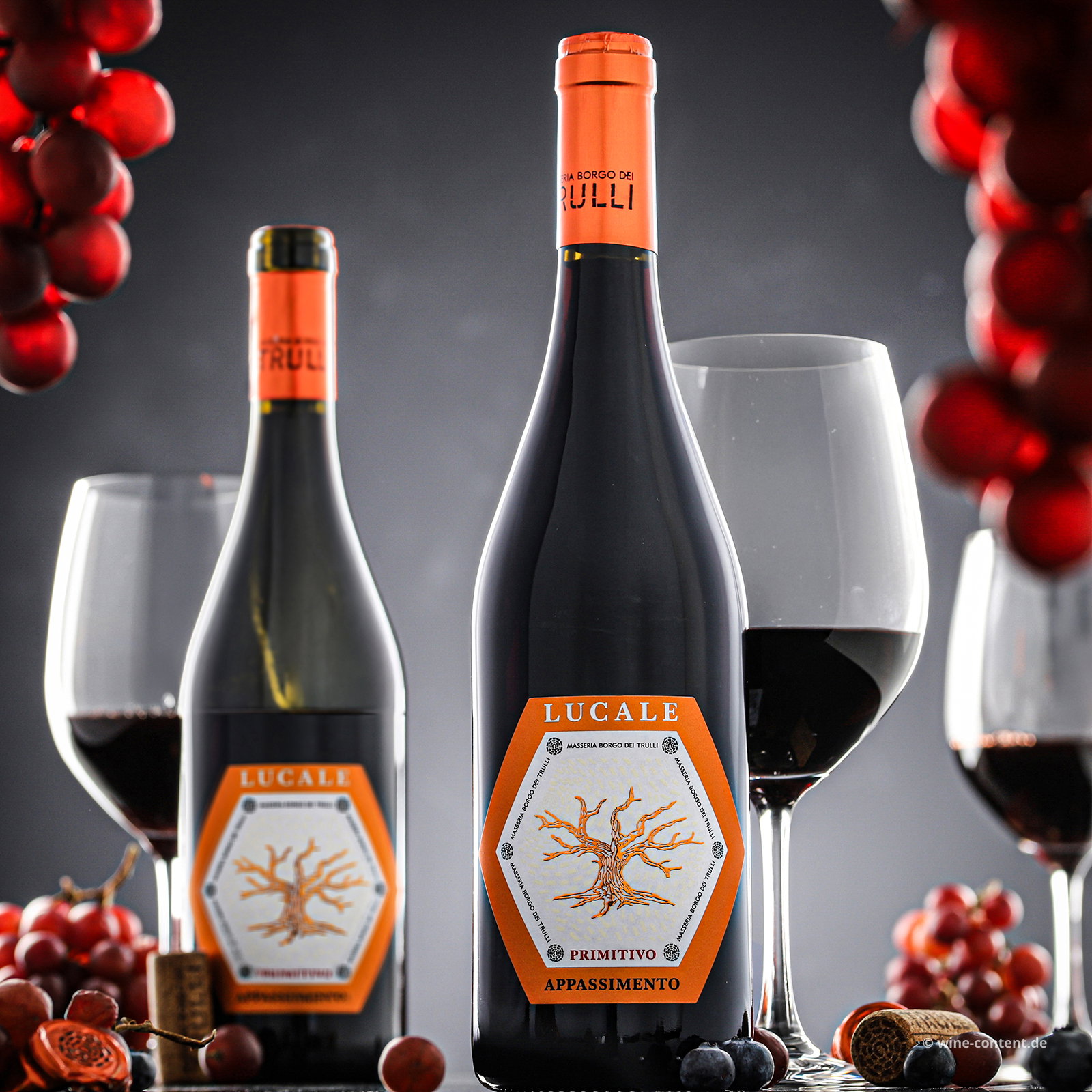 Primitivo Appassimento 2025 Lucale