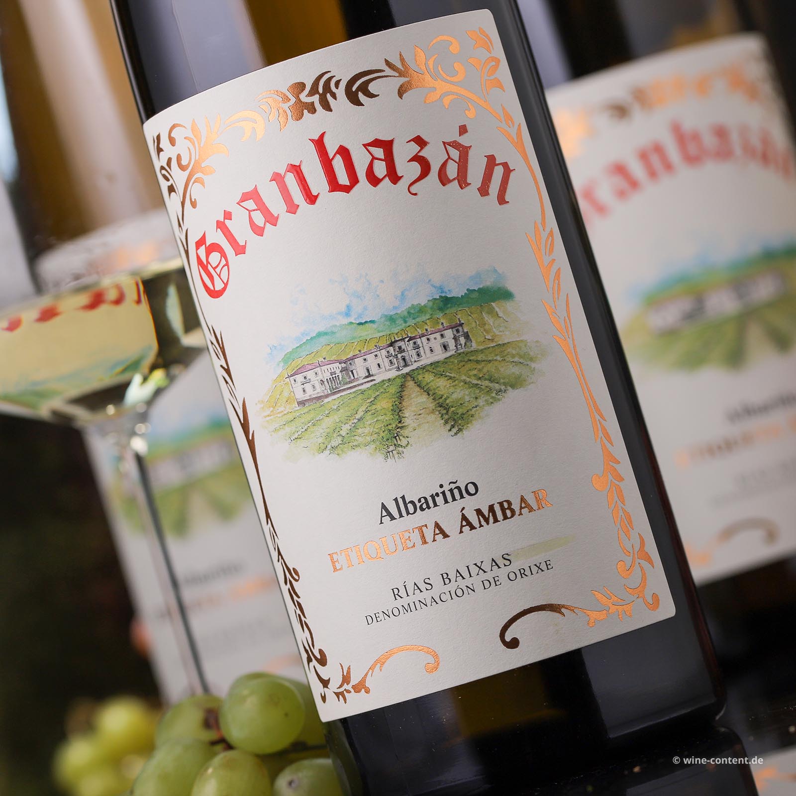 3er-Paket Albariño 2023 Etiqueta Ámbar Magnum