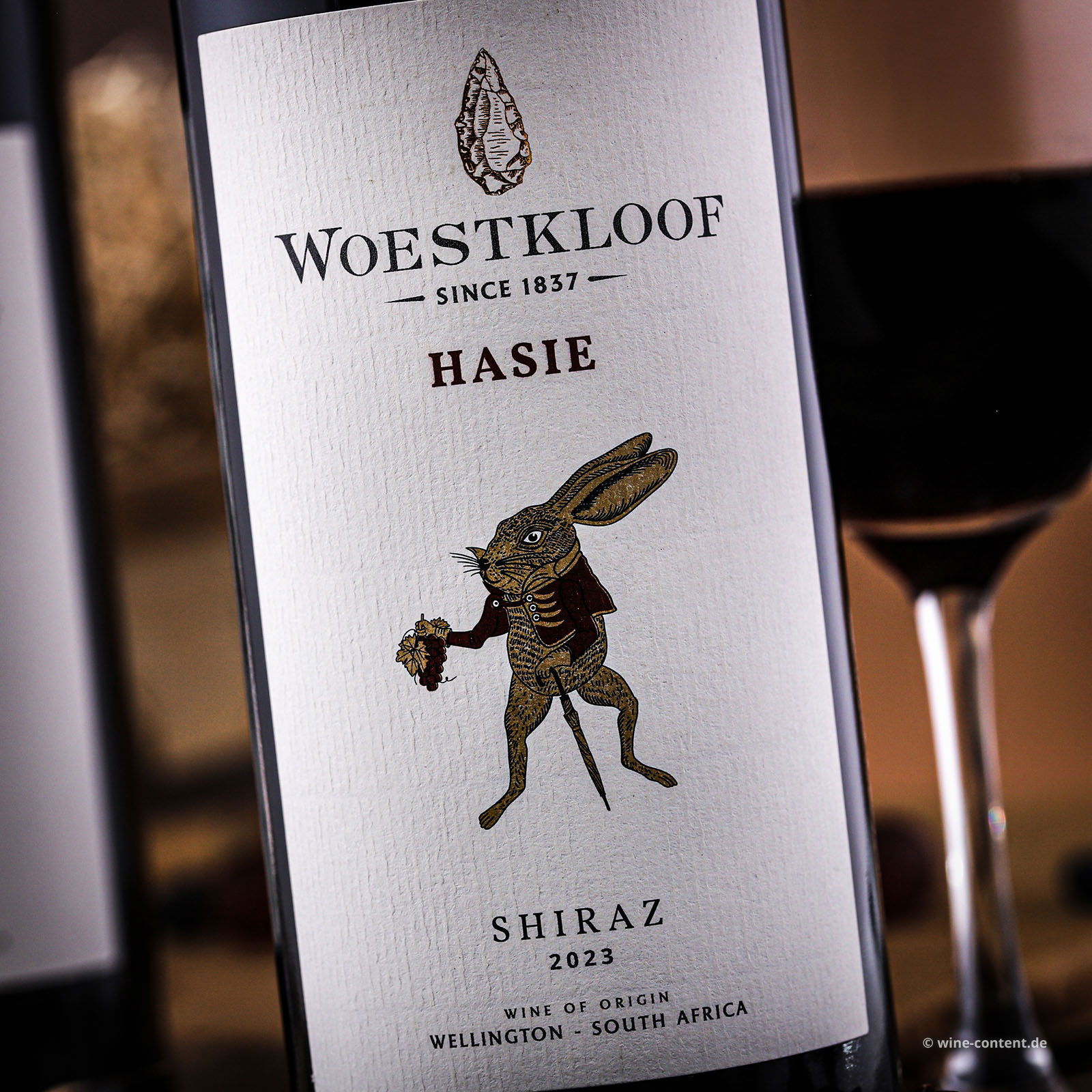 Shiraz 2023 Hasie