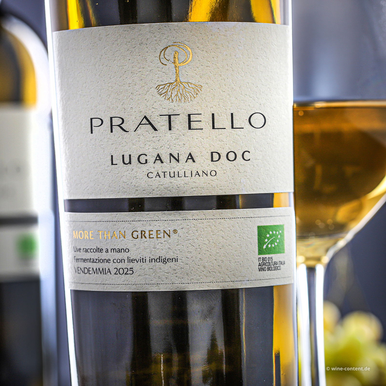 Lugana 2025 Catulliano Bio