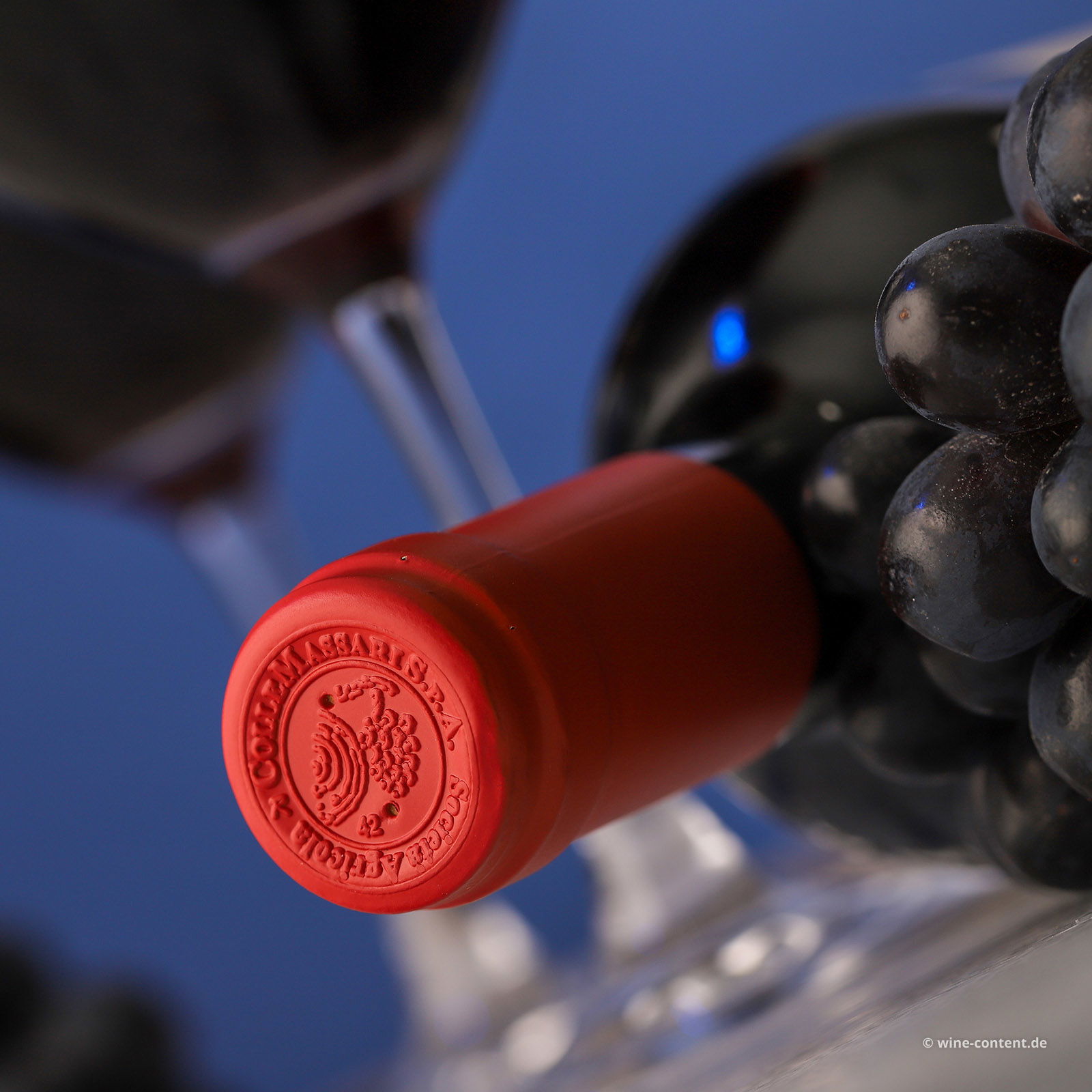 Bolgheri Rosso Superiore 2021 Bio