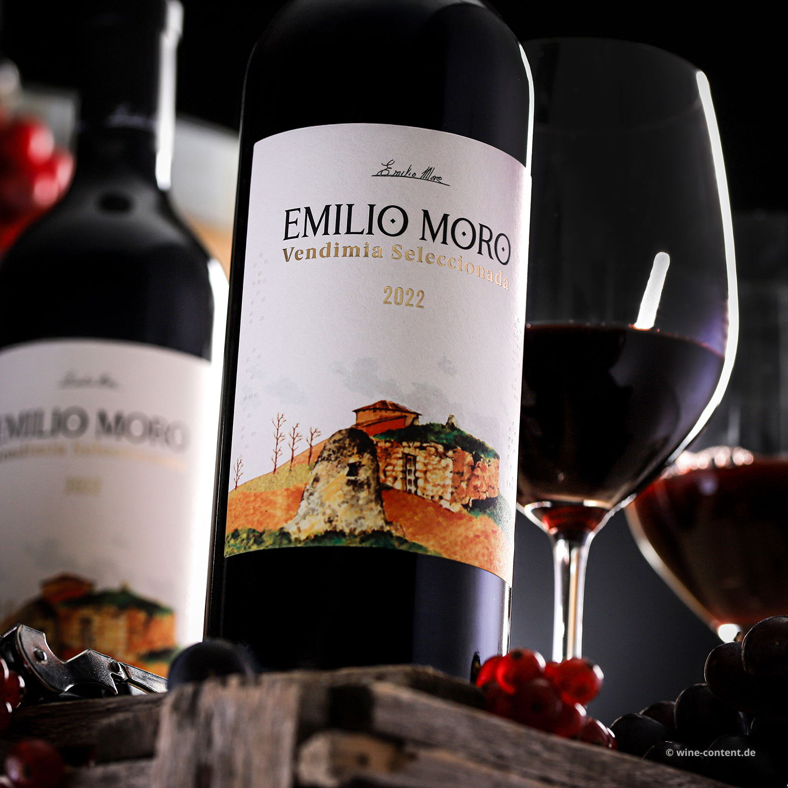 Tempranillo 2022 Vendimia Seleccionada