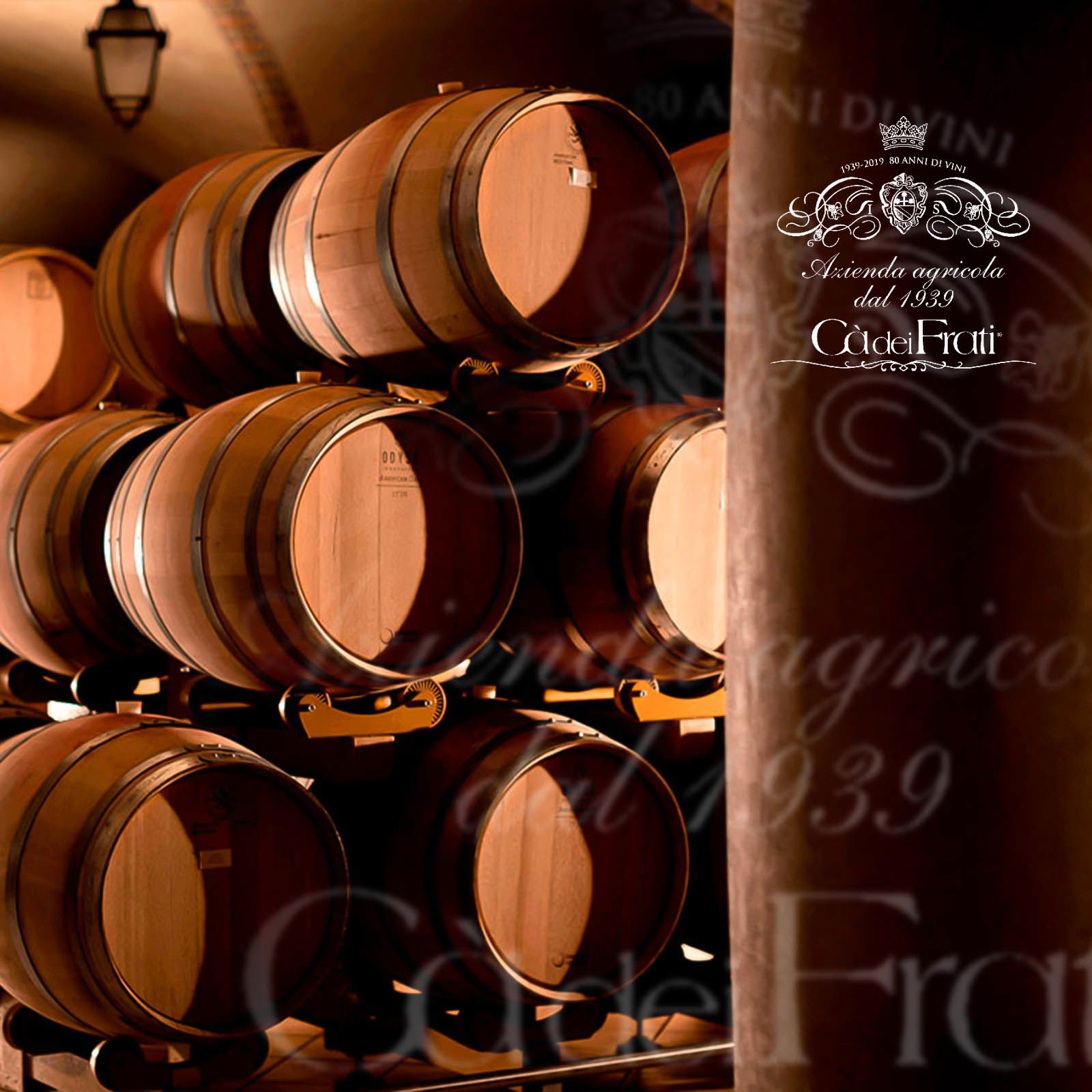 3er-Paket Amarone 2017 Pietro dal Cero