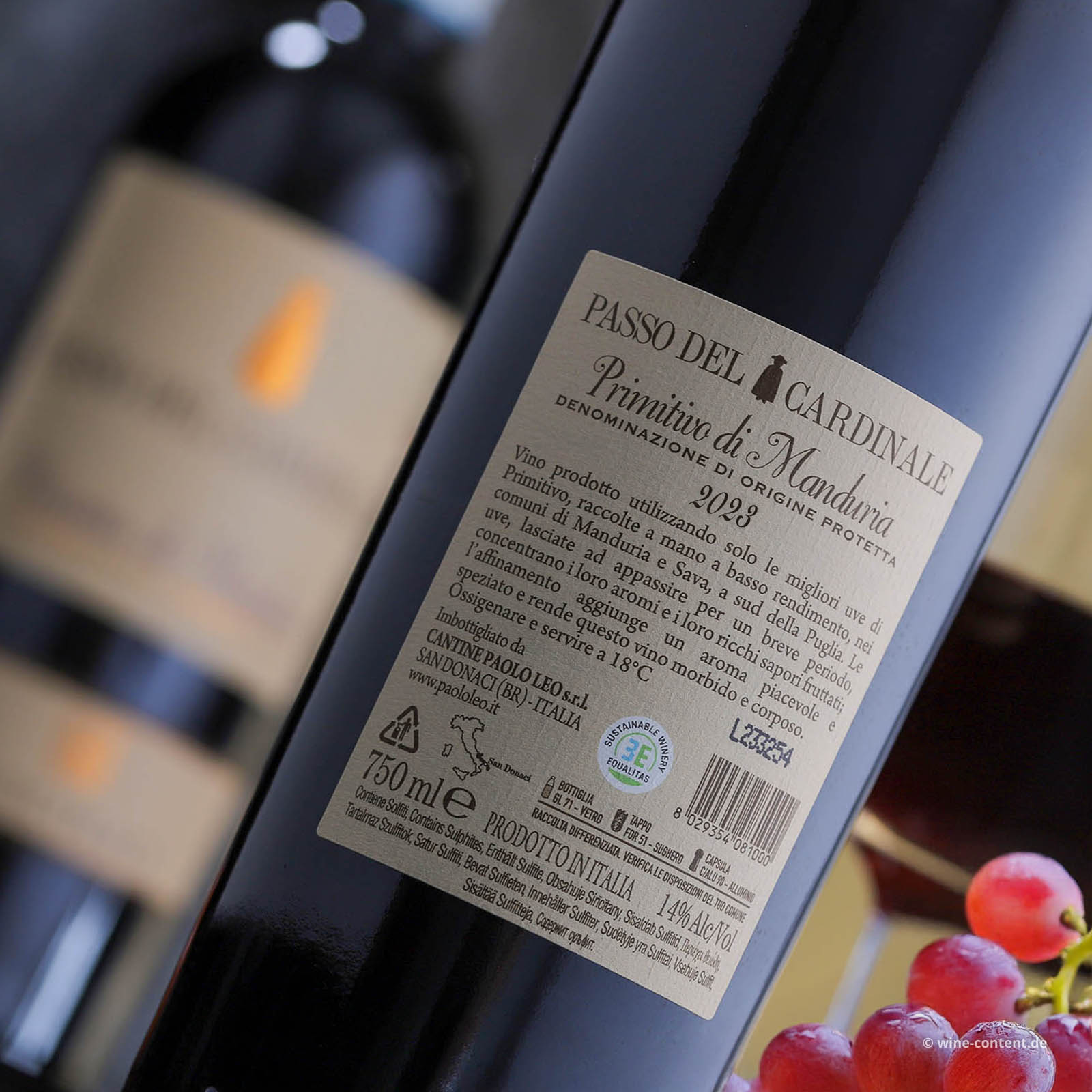 Primitivo di Manduria 2023 Passo del Cardinale