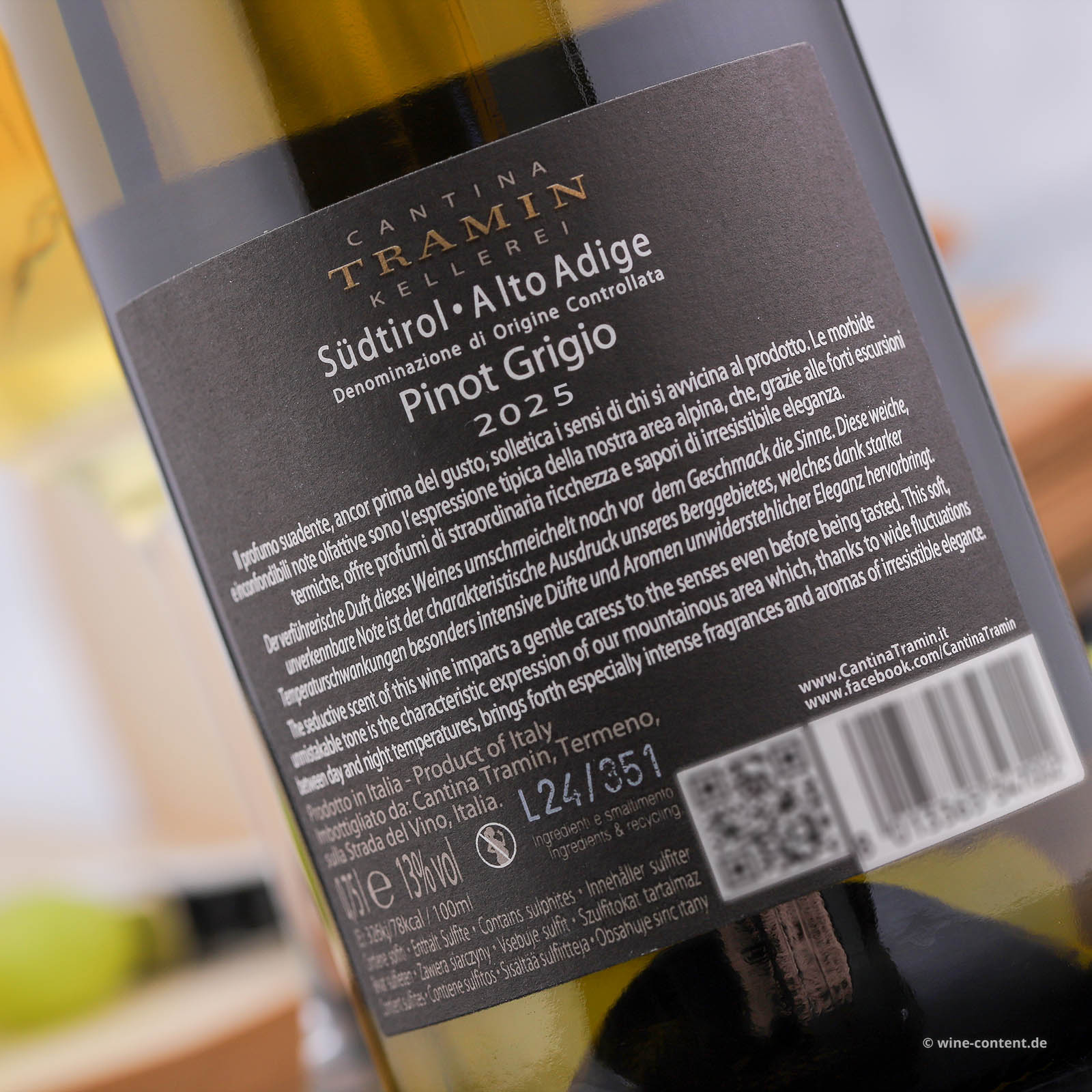 Pinot Grigio 2025 Classic