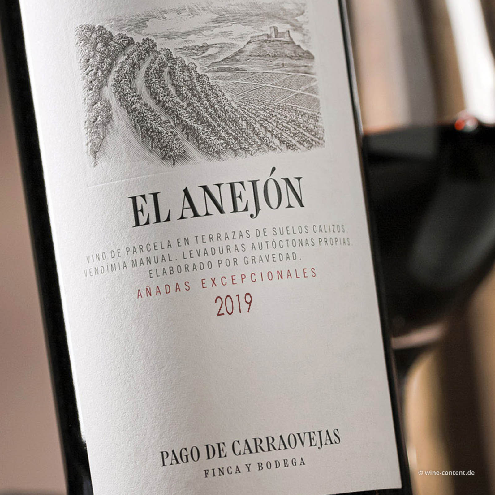 El Anejón 2019
