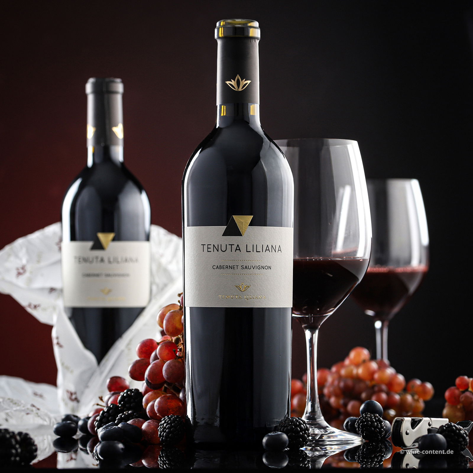 Cabernet Sauvignon Salento 2023