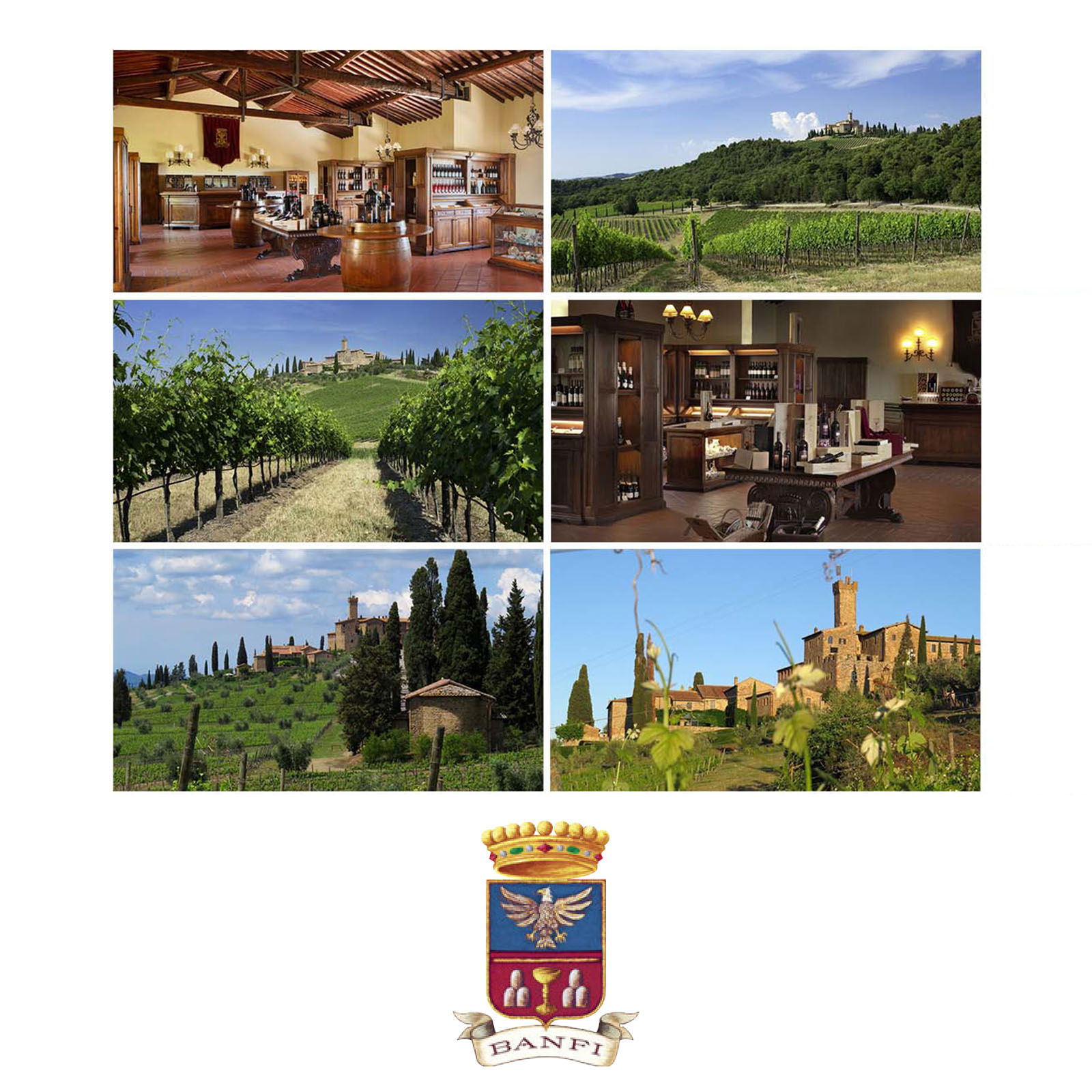 Brunello di Montalcino 2019 Poggio alle Mura