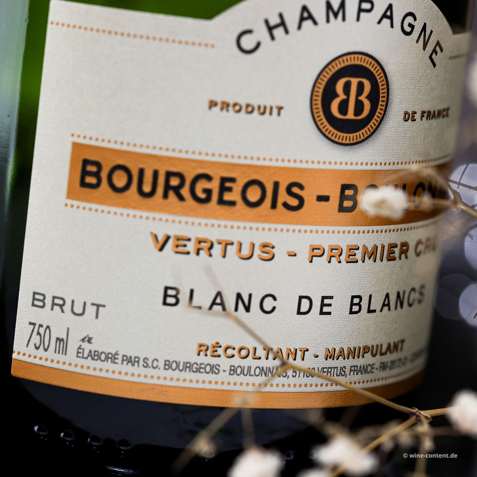 Champagner Blanc de Blancs 1er Cru Brut