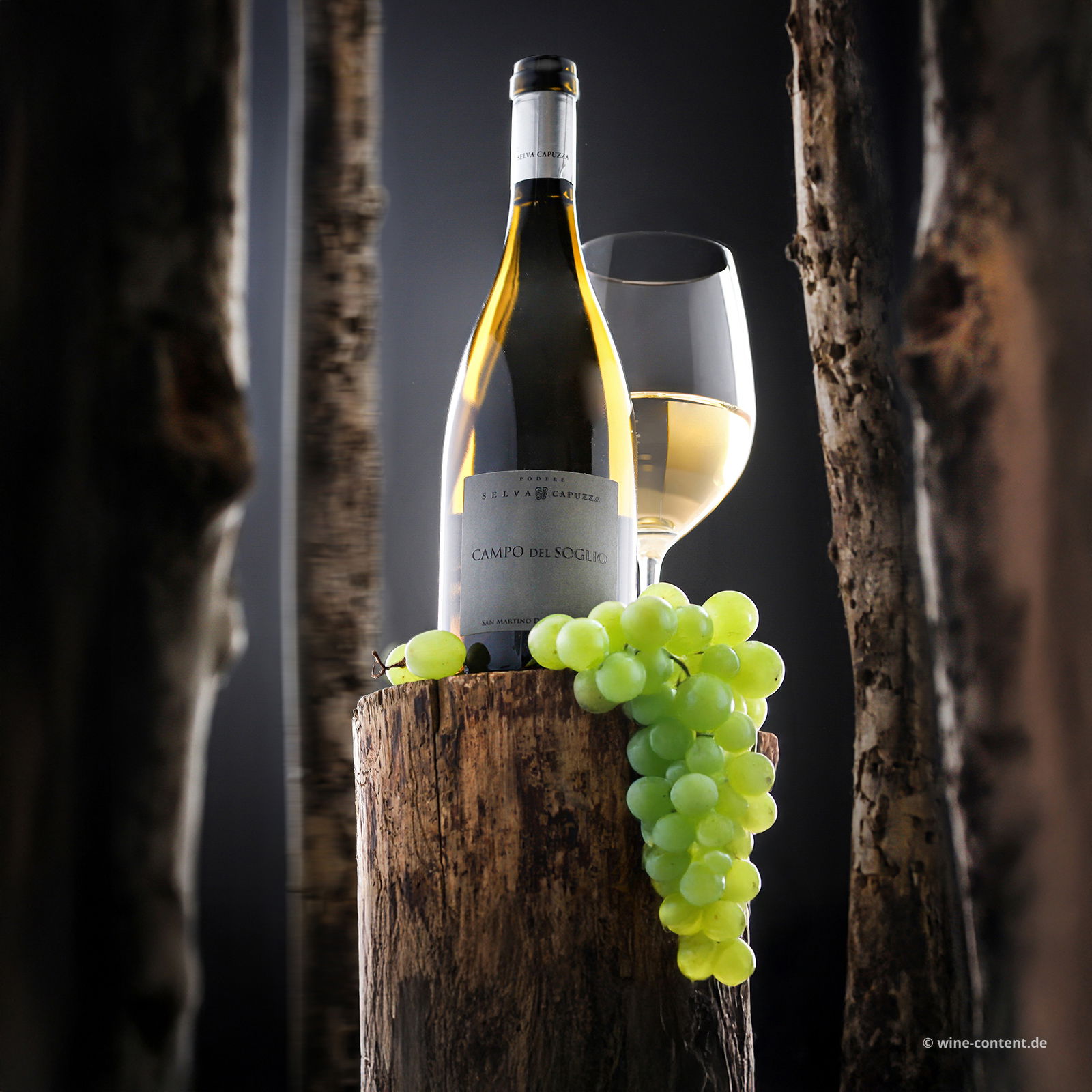 San Martino della Battaglia 2023 Campo del Soglio