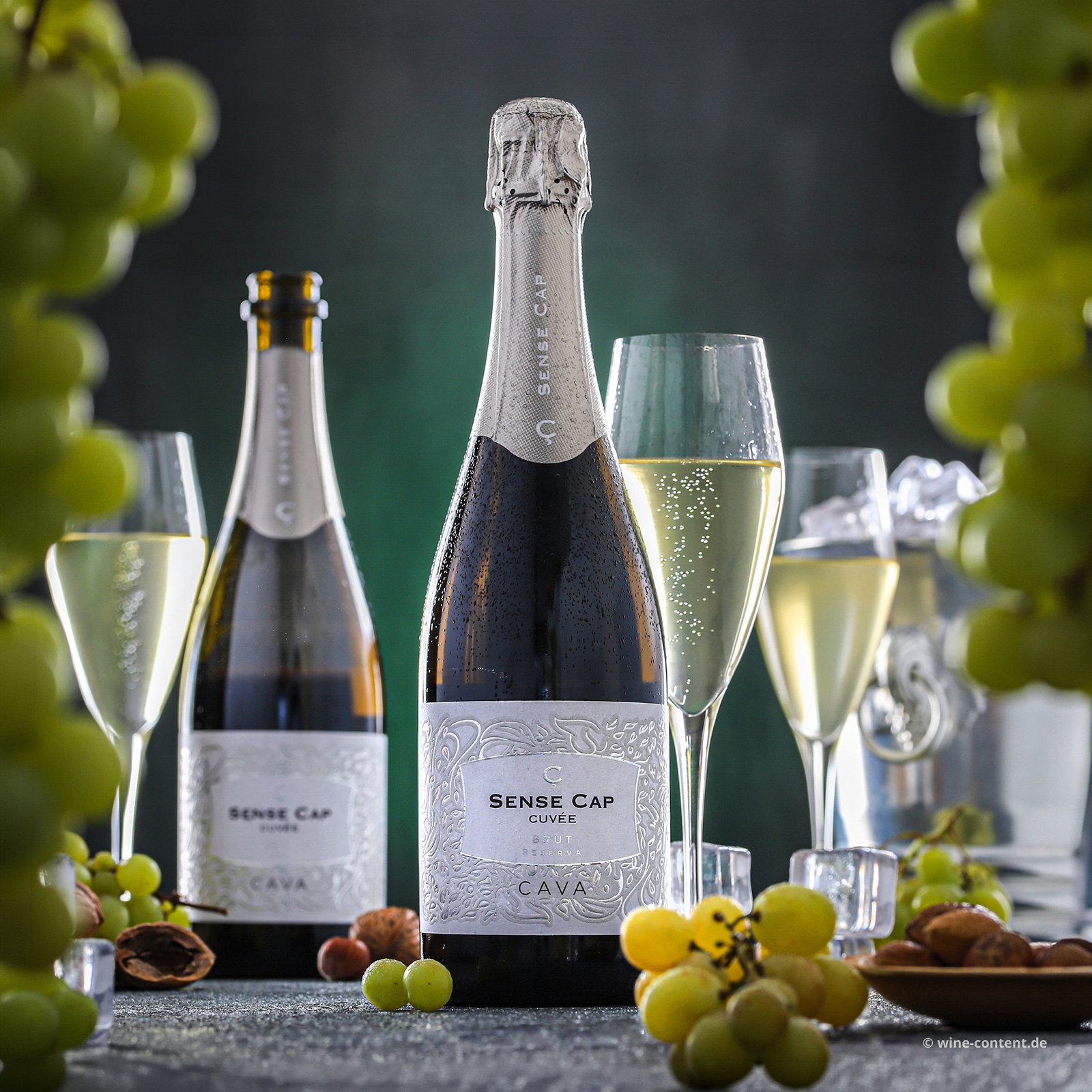 Cava Reserva 2021 Sense Cap Brut Bio